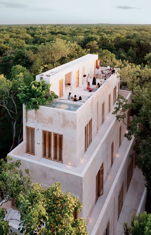 Modern three-story building with rooftop terrace and pool surrounded by dense green forest.