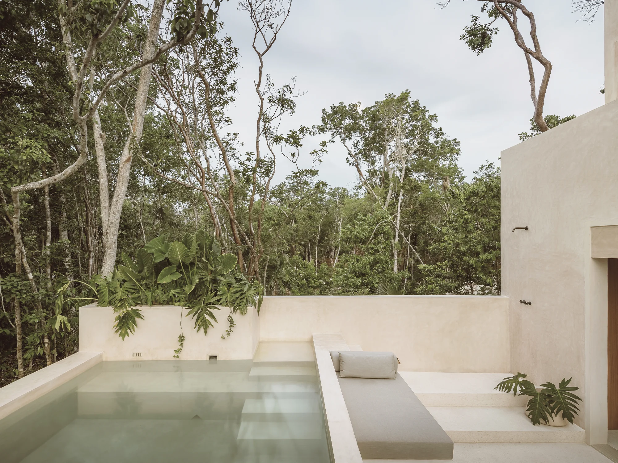 Minimalist outdoor pool area with beige walls, built-in lounge bench with cushion, steps, and lush green tropical trees in the background.