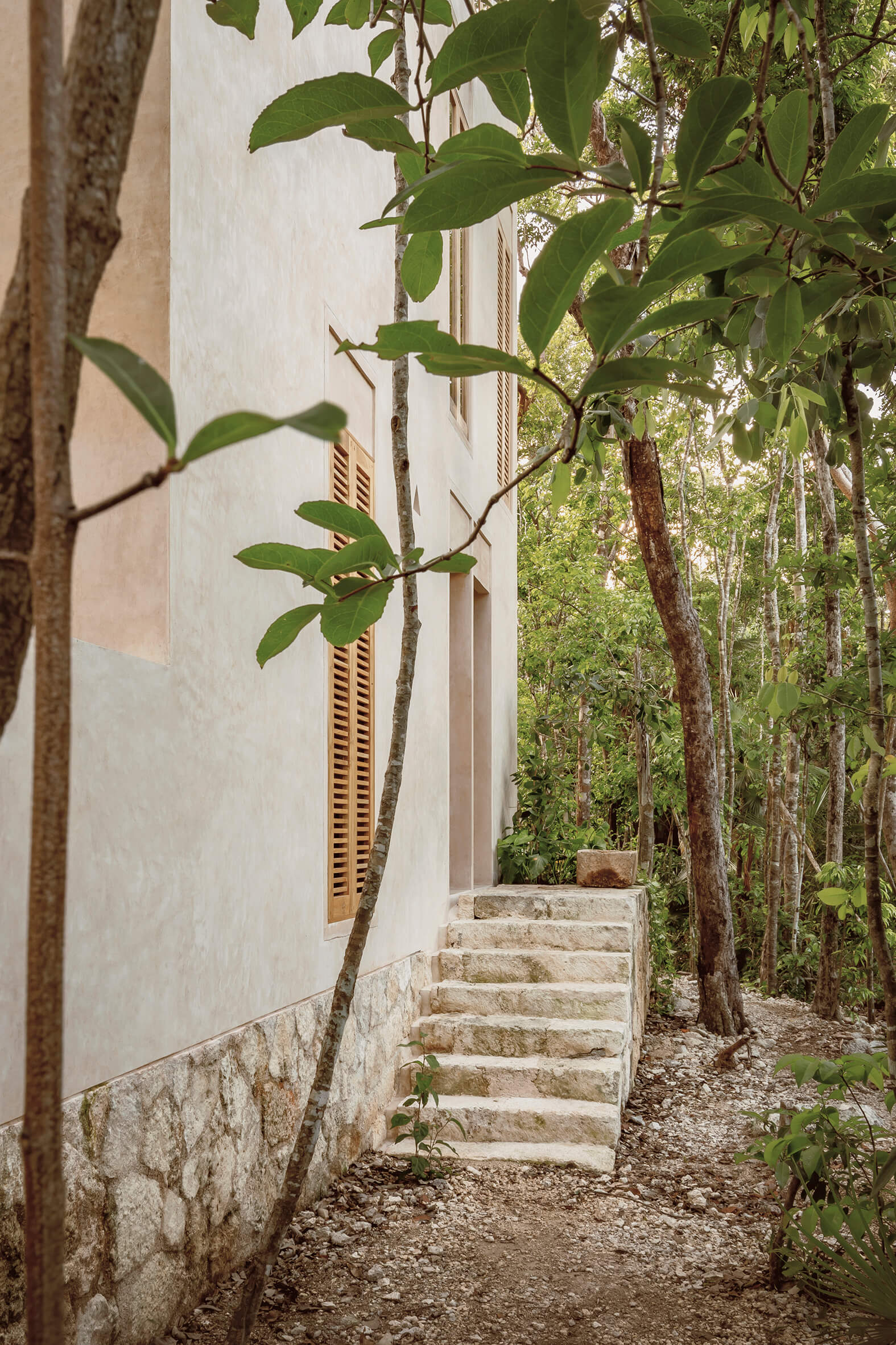 Stone stairs leading to a beige stucco building surrounded by dense green trees and foliage.