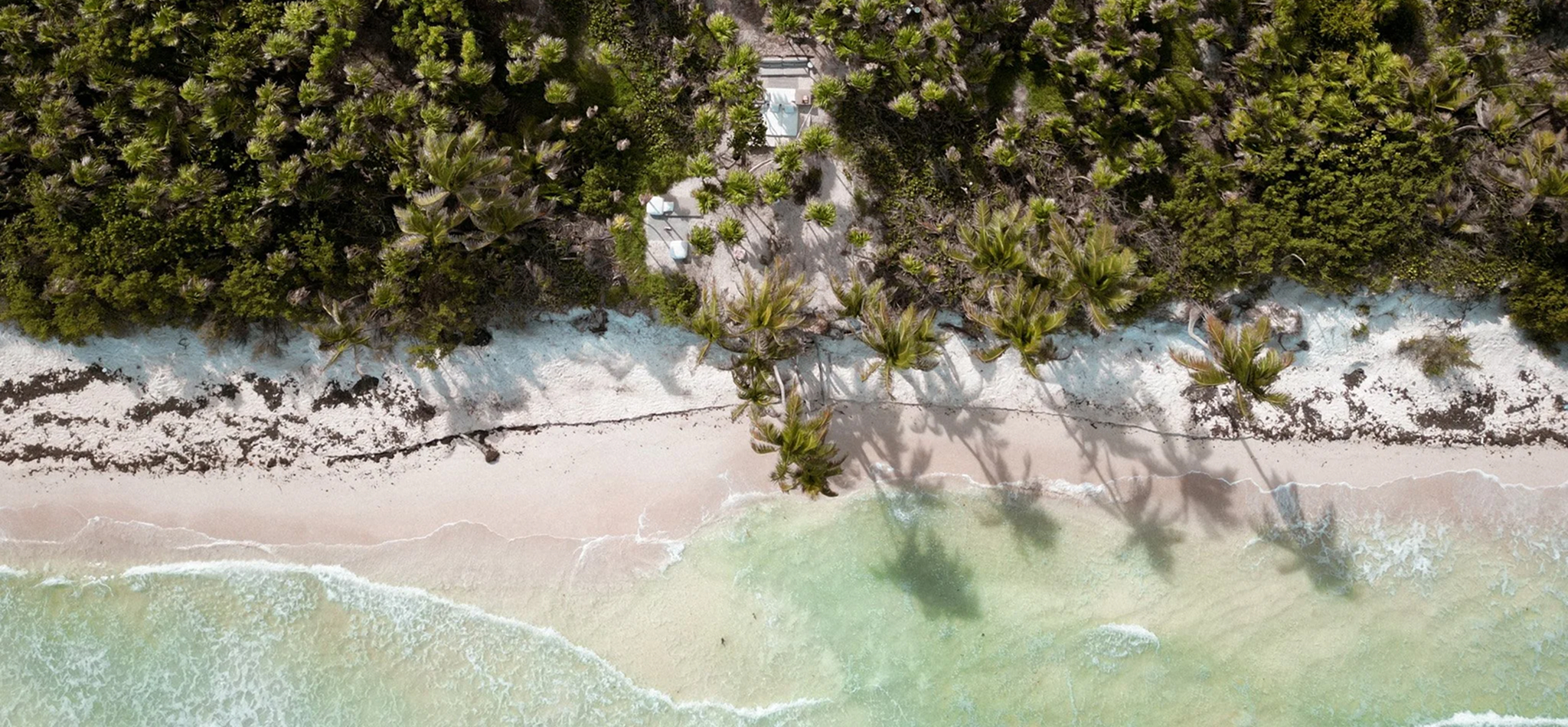 Aerial view of seven modern buildings arranged in a circular pattern surrounded by dense green forest with dirt roads connecting them.