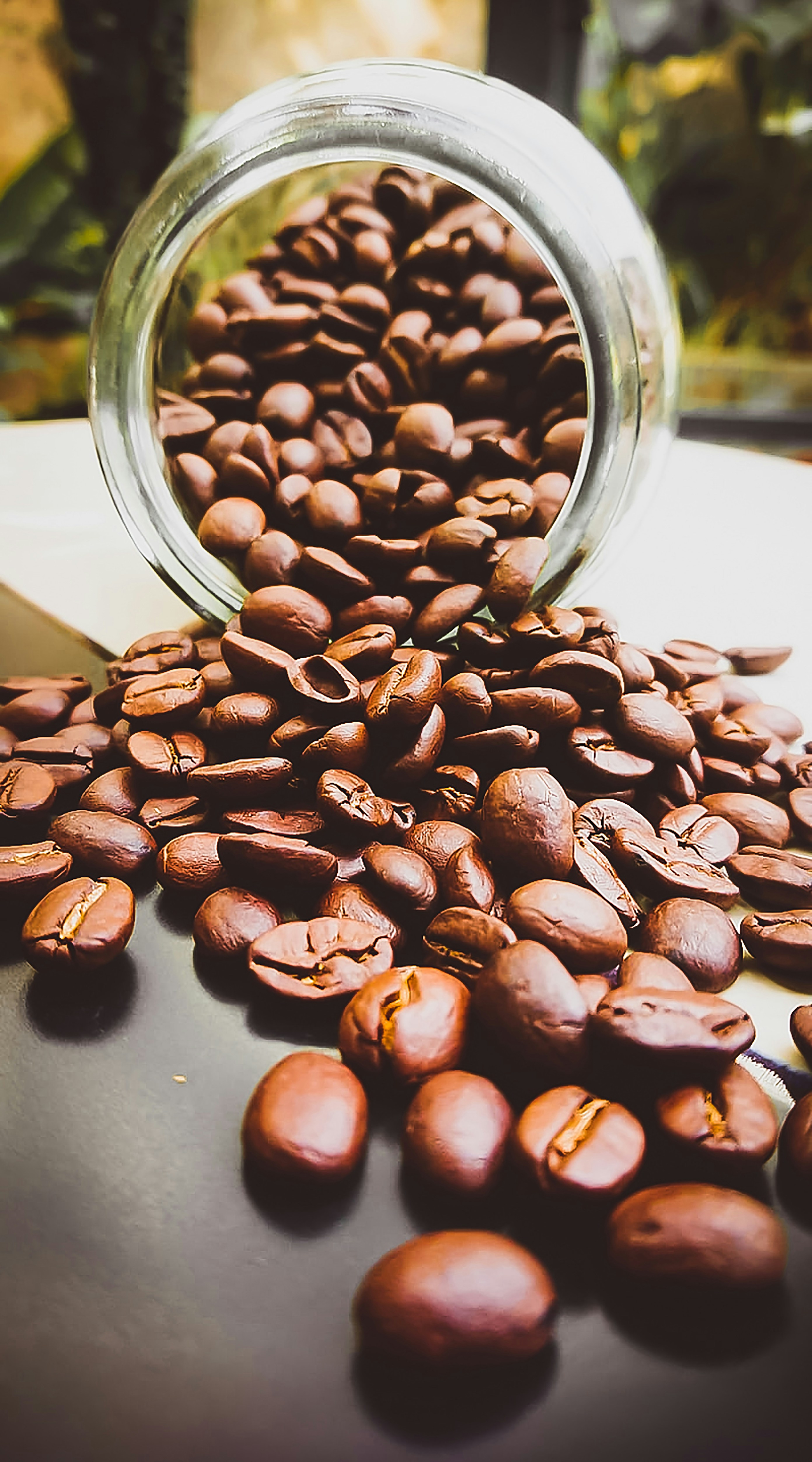 cta mini card 2 - "Pack with antioxidants"