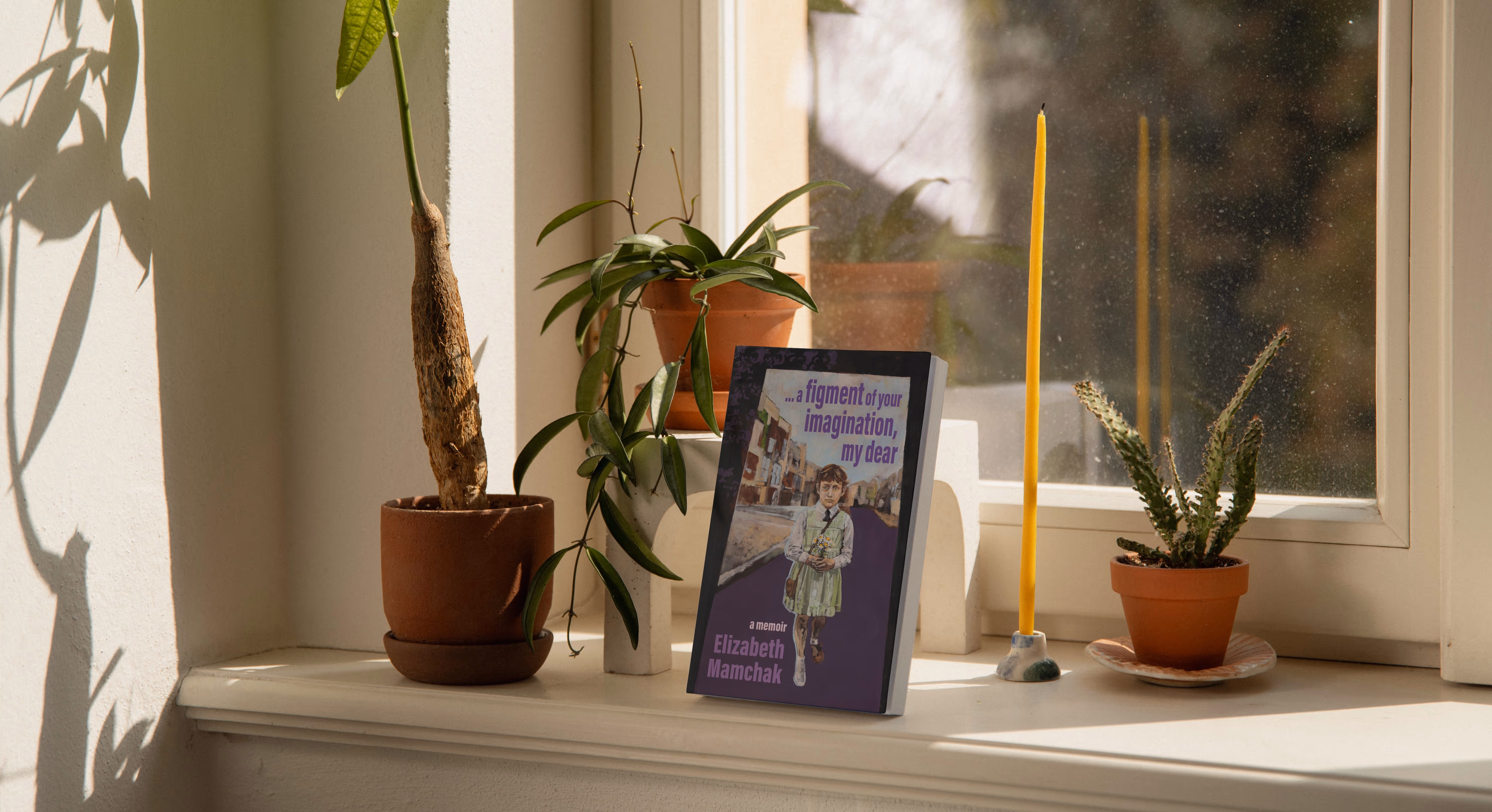 The book, '... a figment of your imagination, my dear', on a window sill