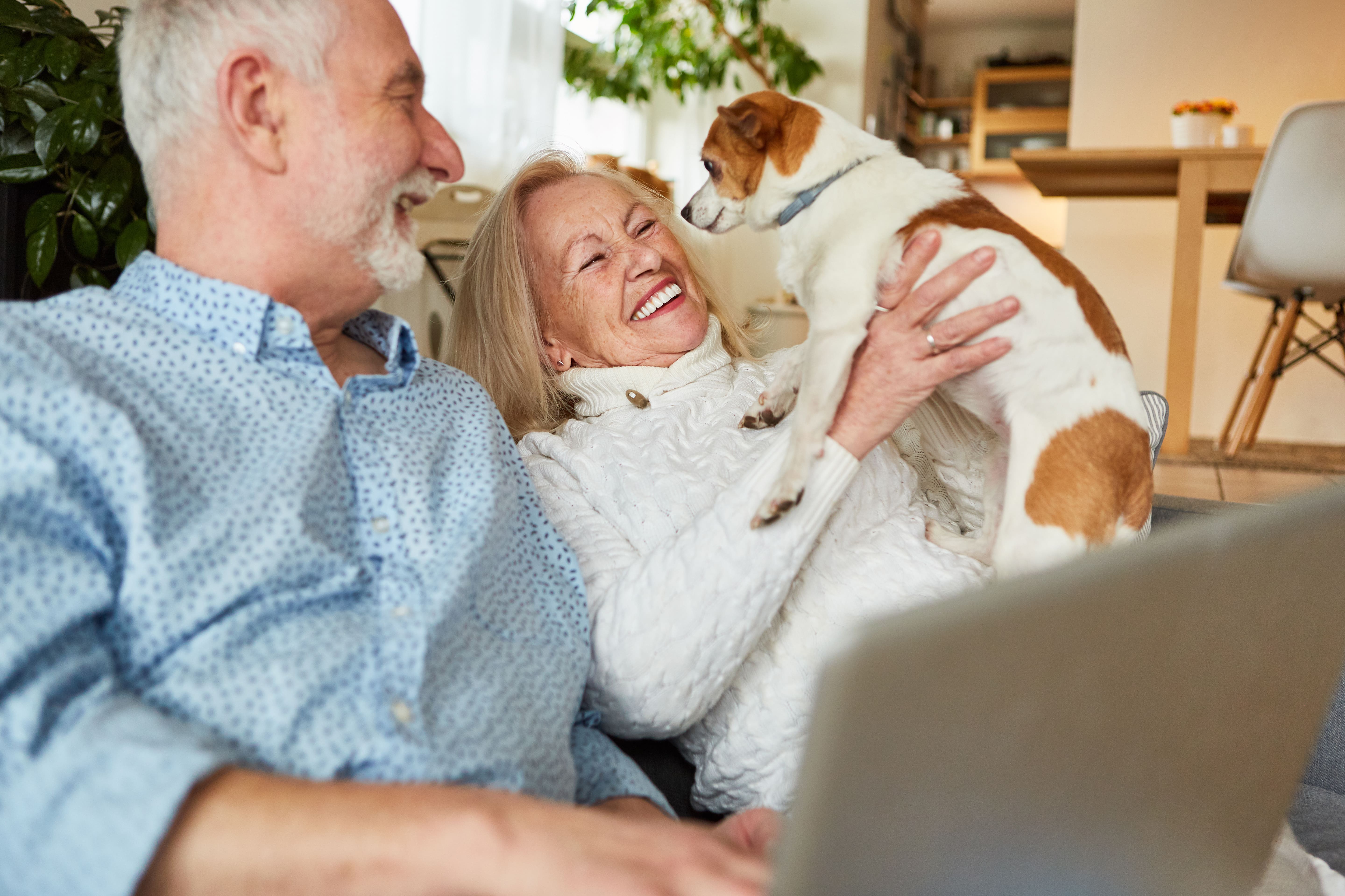 seniors with dog stock image