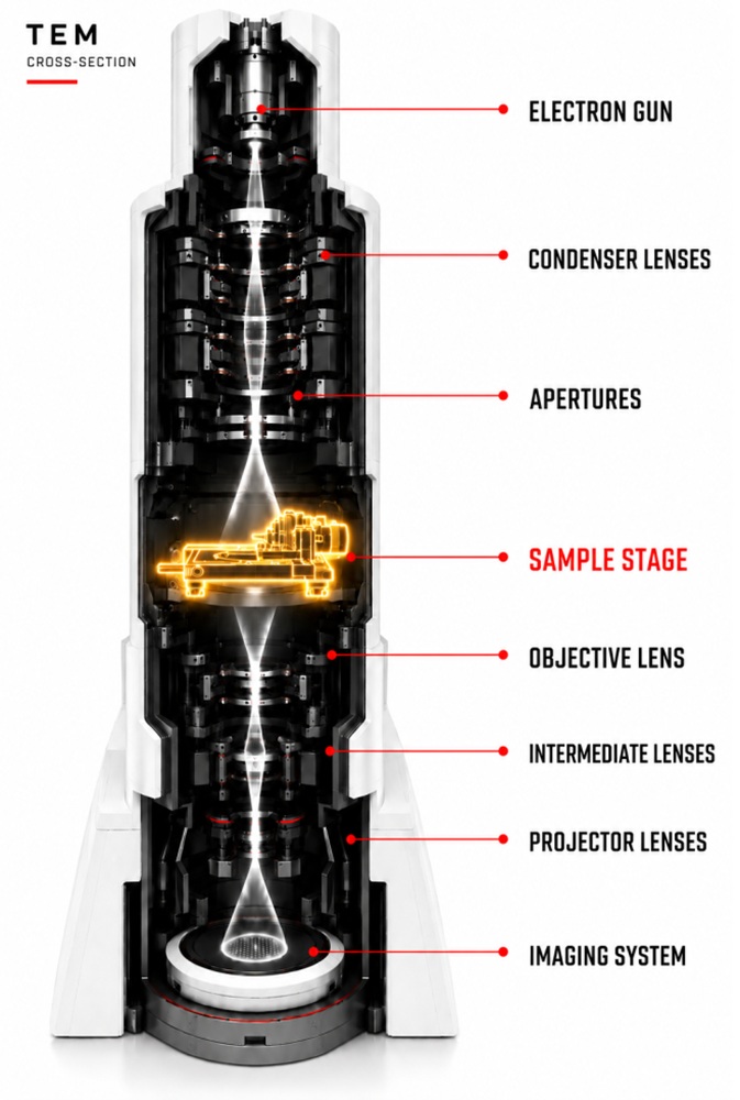 Cross section of a TEM showing different components with the precision TEM stage highlighted