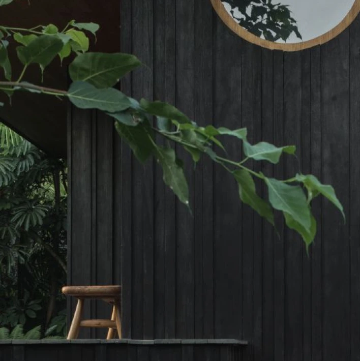 Dark timber exterior wall with surrounding greenery and a simple wooden bench.