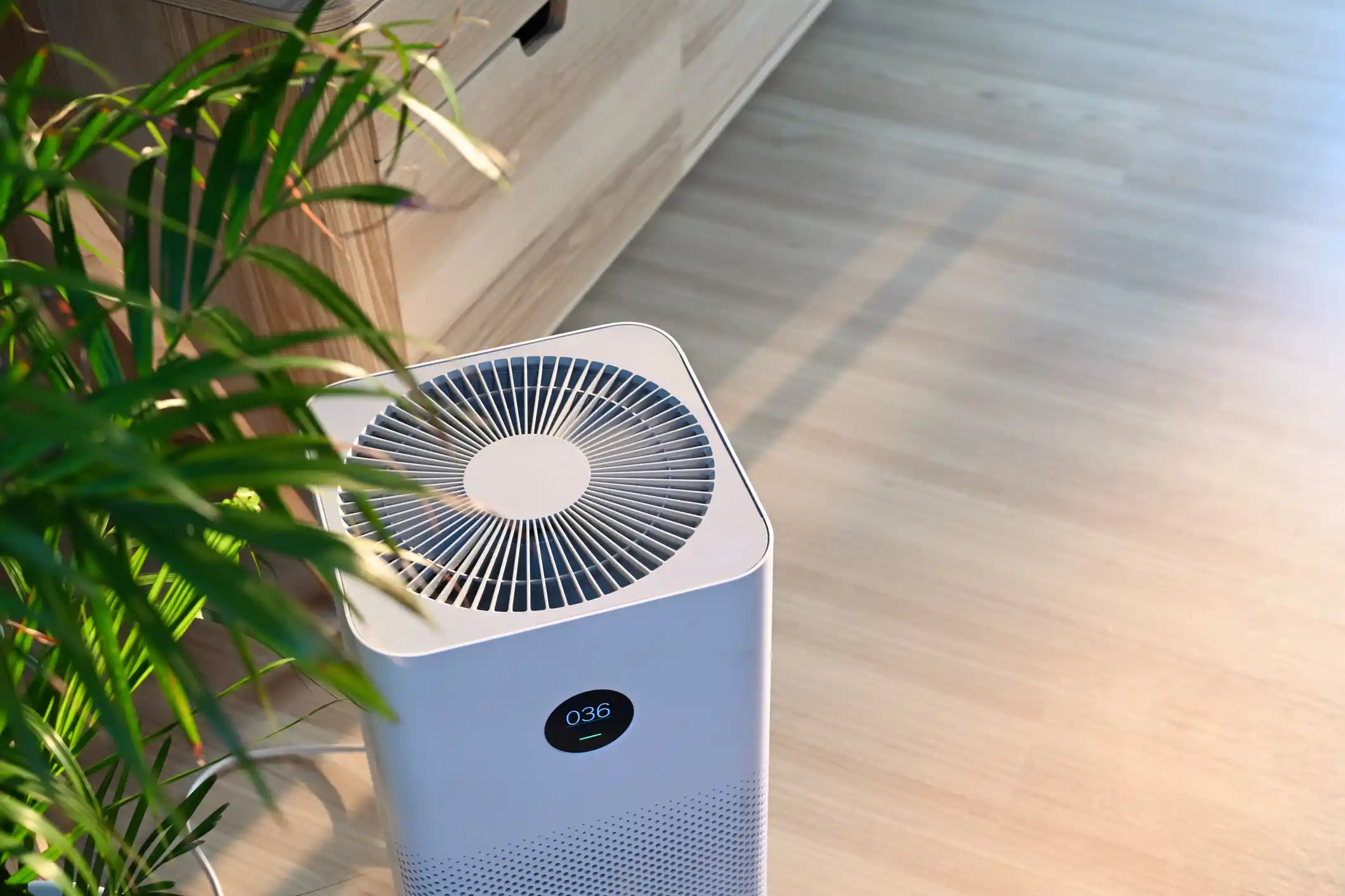 A modern white air purifier with a circular digital display stands on a light wood floor next to a green indoor plant, filtering air in a bright, minimalist room.