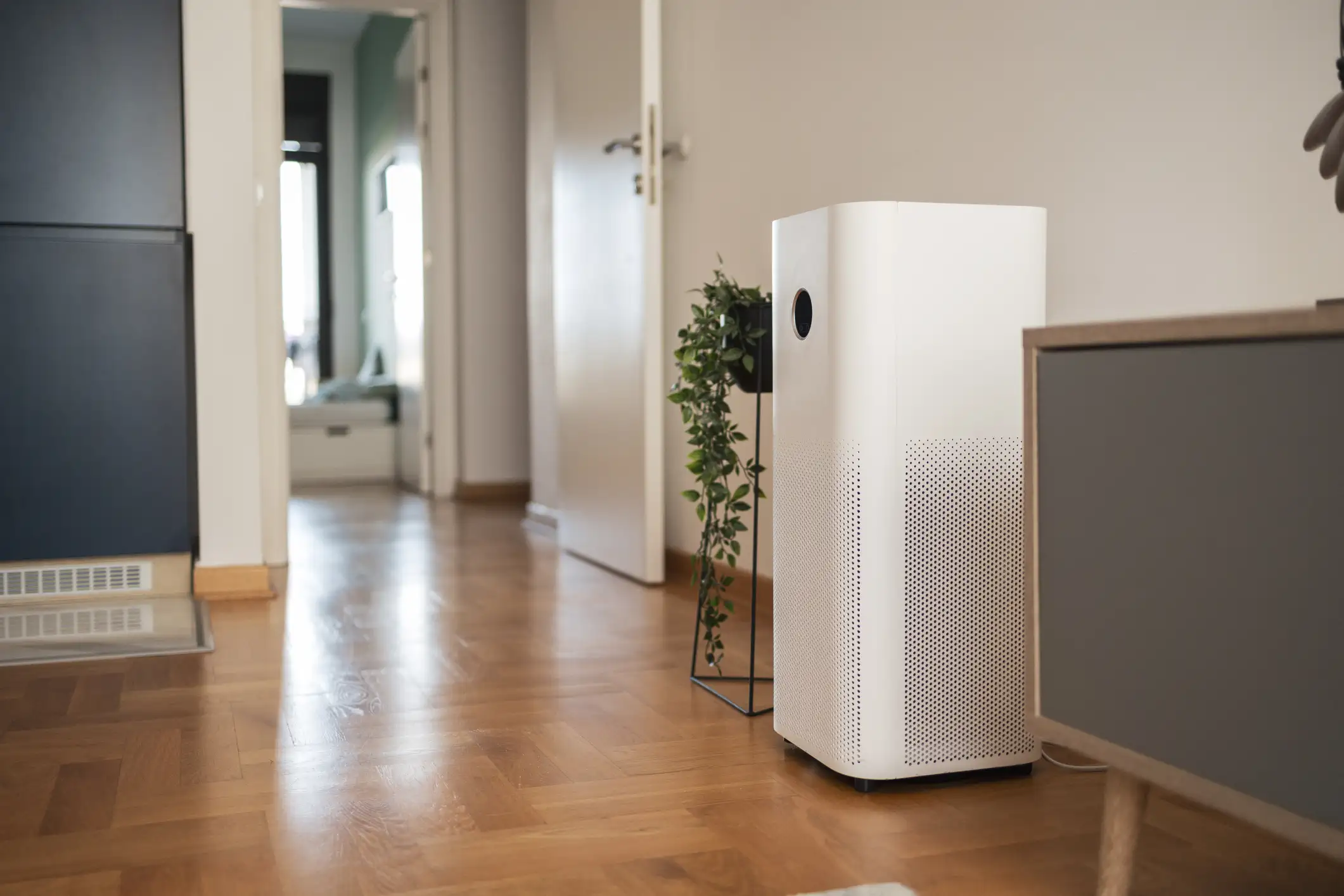 A white rectangular air purifier stands on a polished wooden floor in a hallway next to a potted trailing plant, with an open doorway leading to a bright room in the background.