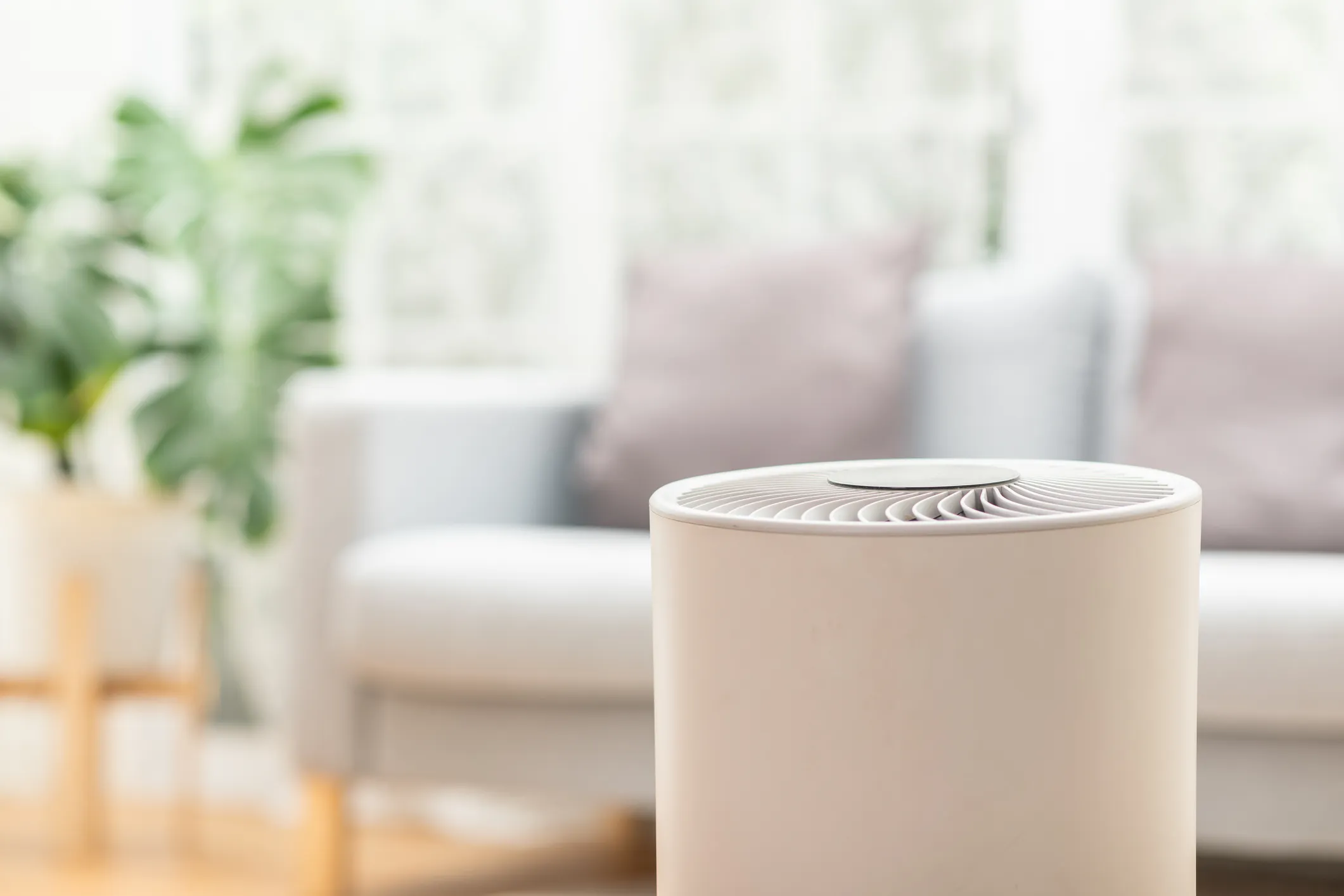 White round air purifier in focus in the foreground of a blurry, bright living room setting.