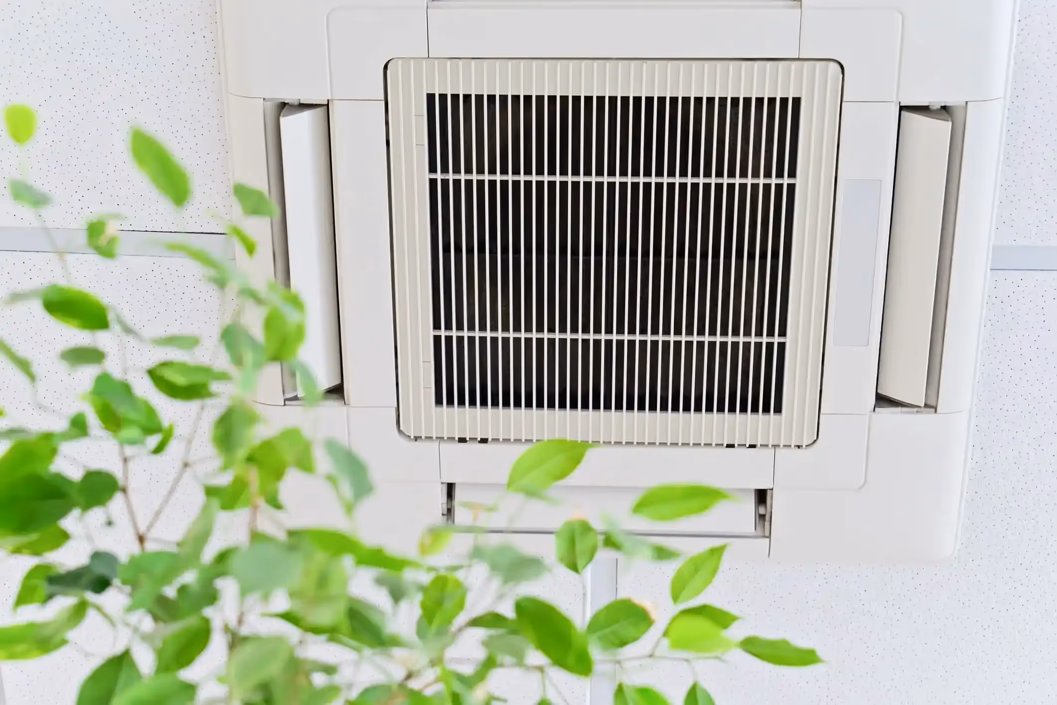 A close-up view of a ceiling-mounted air conditioning unit with a green plant in the foreground.
