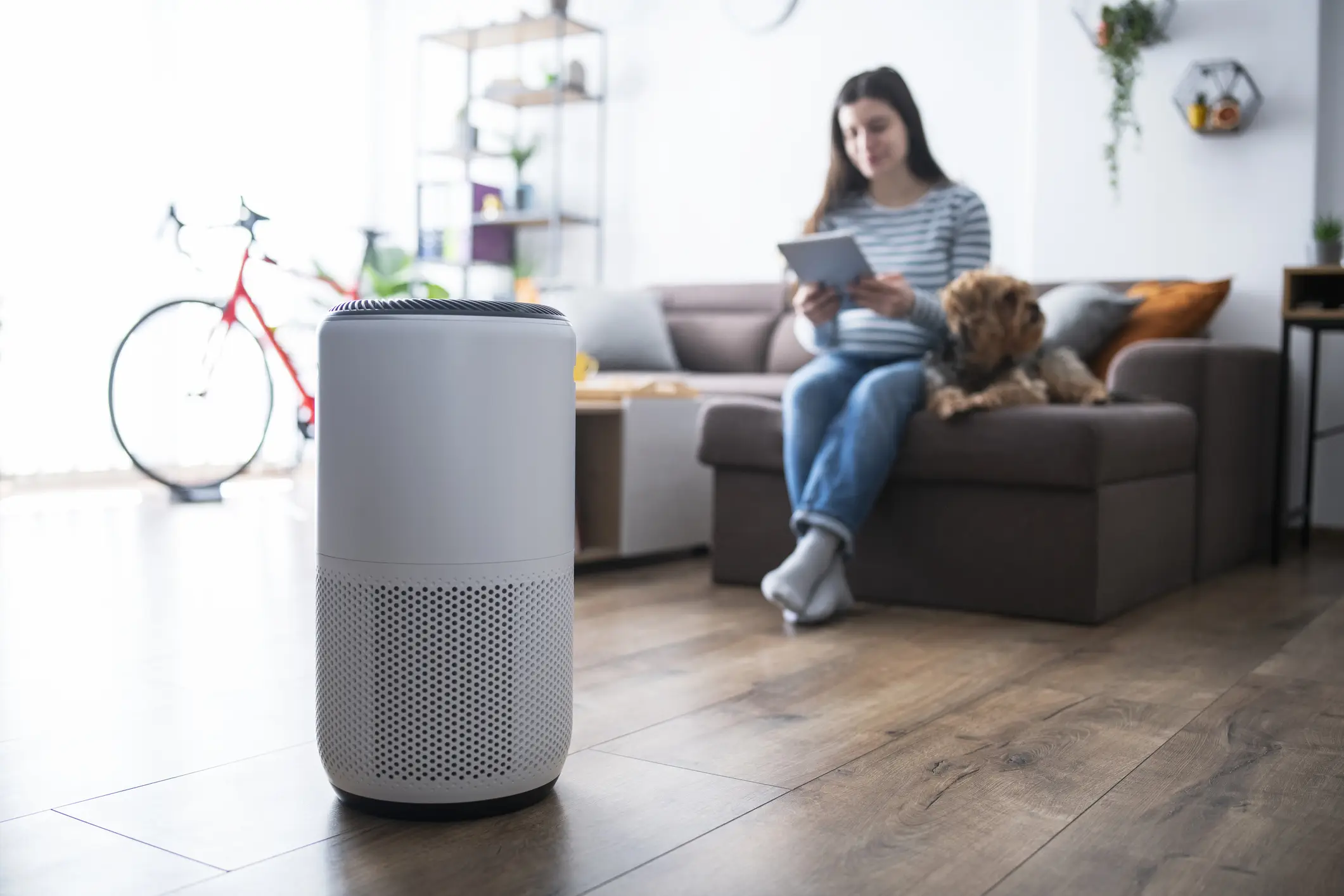 A sleek, white cylindrical air purifier stands on a wooden floor in a bright living room. In the blurred background, a woman sits on a sofa using a tablet with a dog by her side.