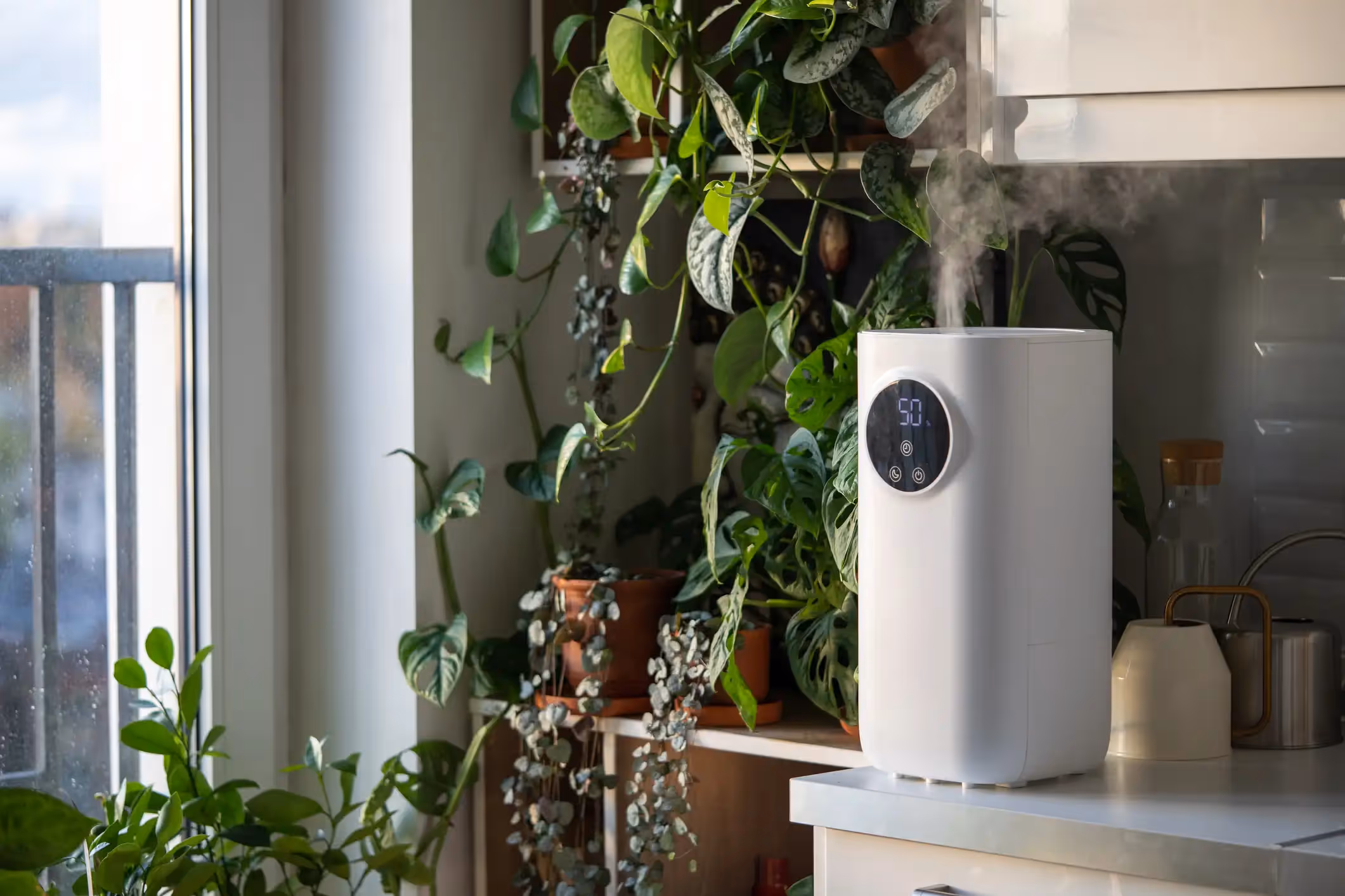 Overhead shot of a white square air purifier with a digital display next to a plant.