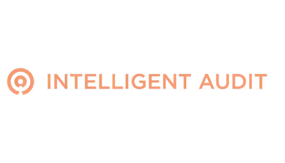 Intelligent Audit