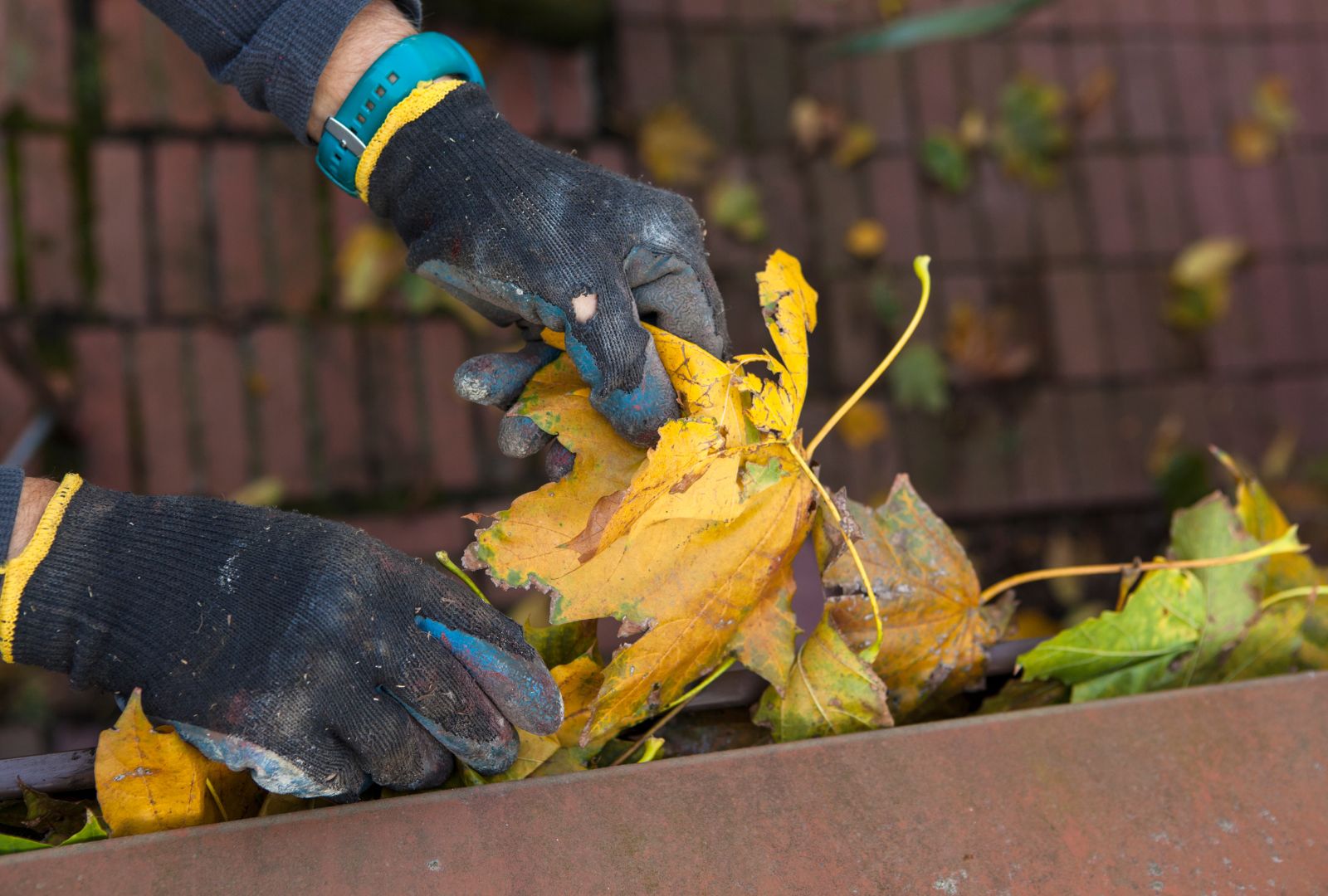 Man cleaning gutter