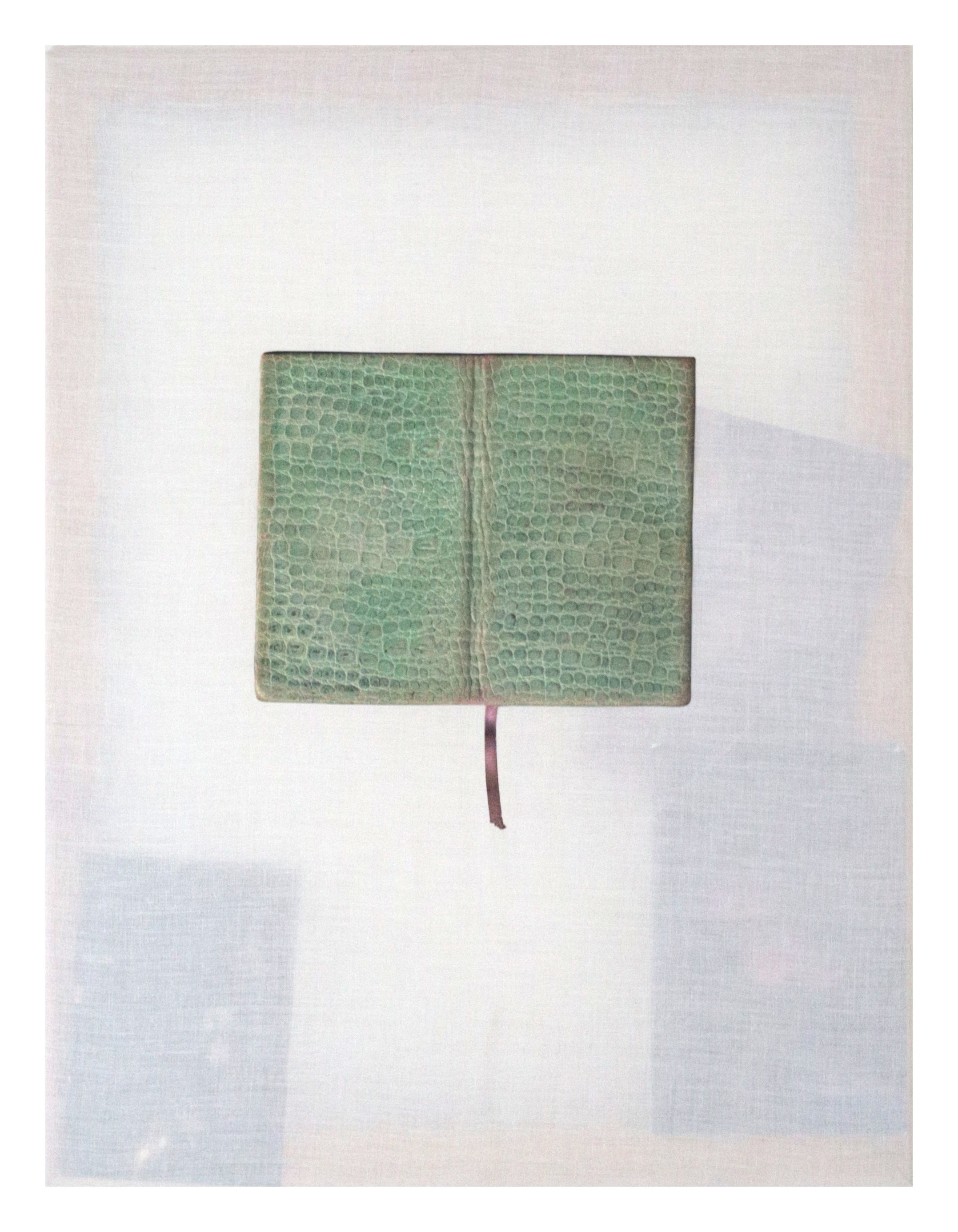 Tanya, installation view