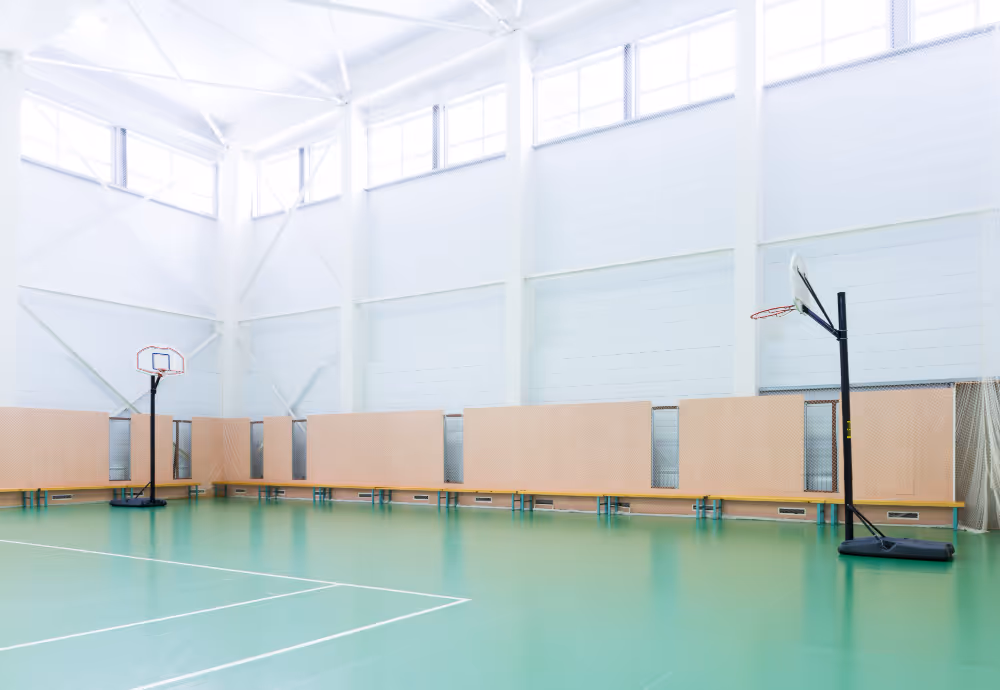 ProSportArena Indoor Ground