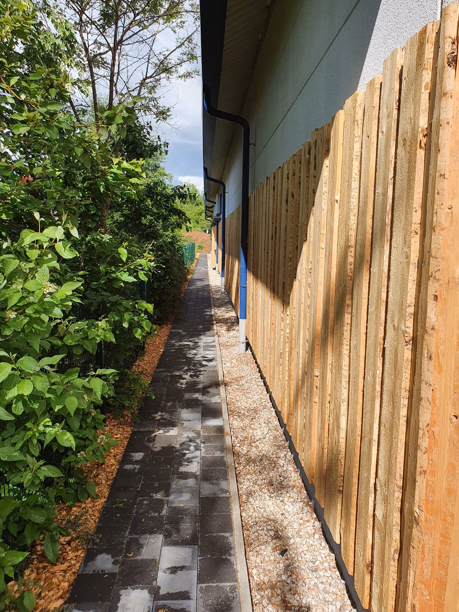 ProSportArena SideWalk