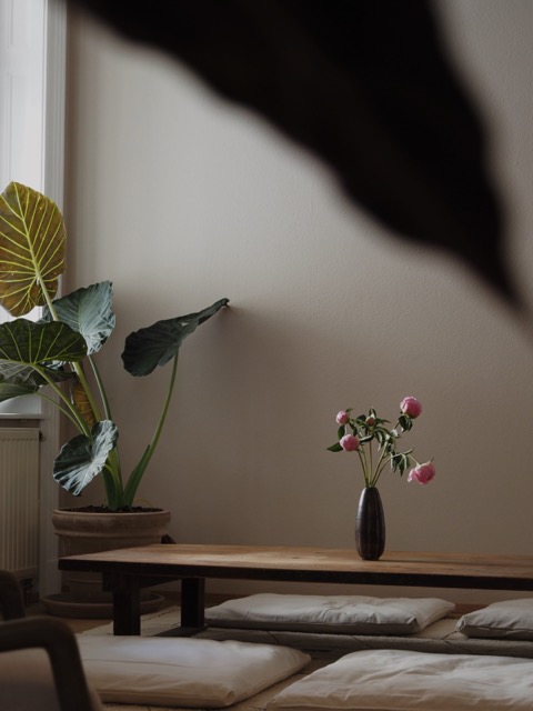 Low wooden table with cushions and a vase of pink flowers near a large leafy potted plant in soft light.