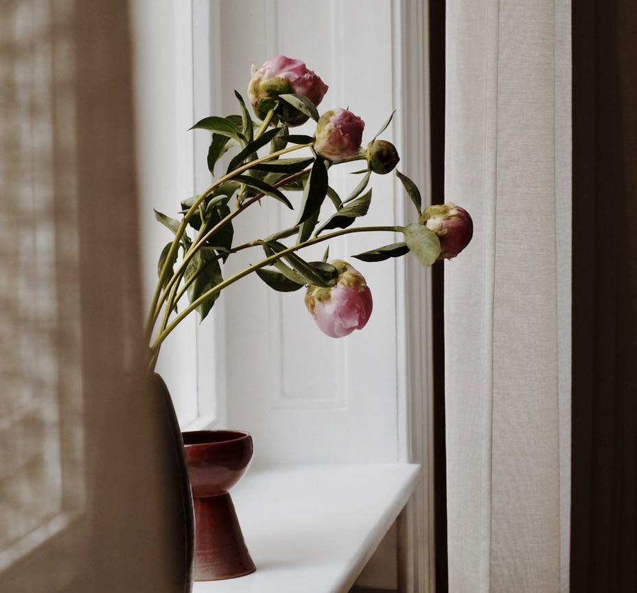 Pink peony buds bending sideways in a vase on a windowsill behind sheer curtains.