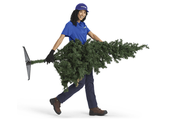 A Truck Team Member hauling away a Christmas tree
