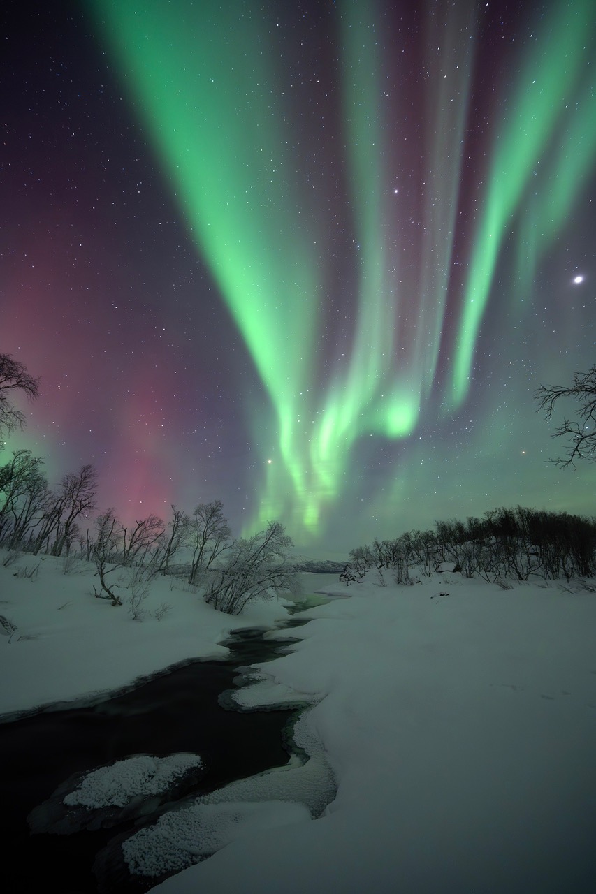 Northern lights in a snowy landscape