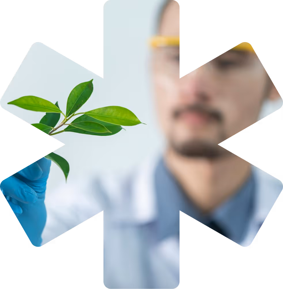 A man holding a plant in his hand.