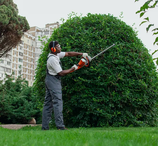 Tailored Lawn & Garden Solutions