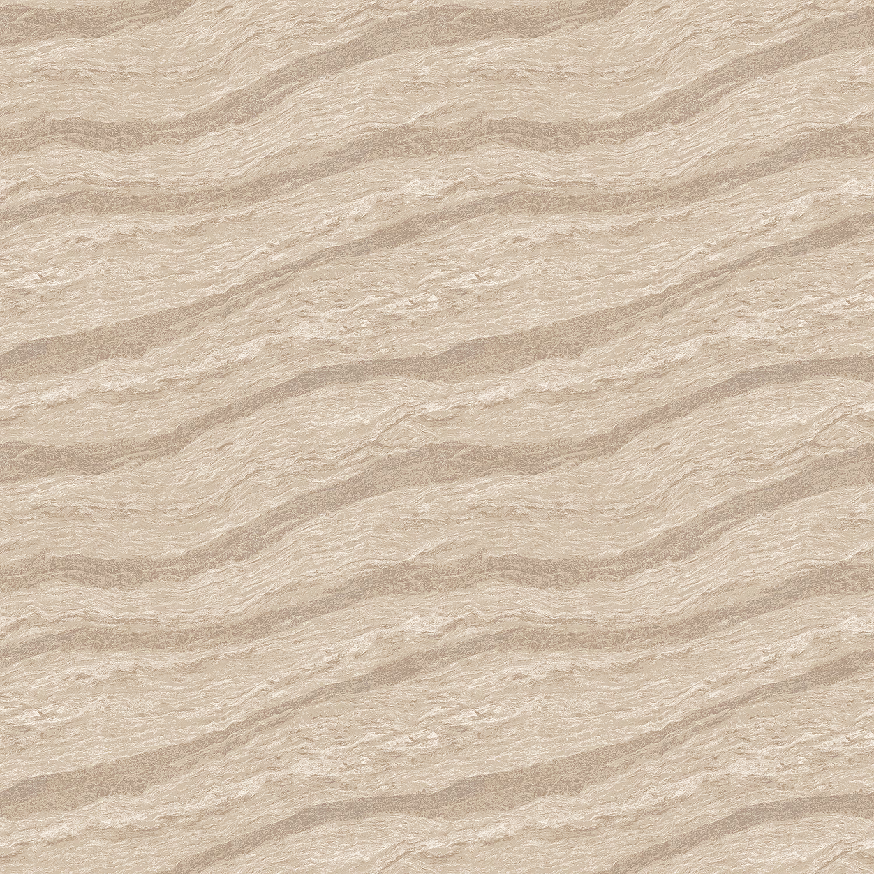 Aster Crema