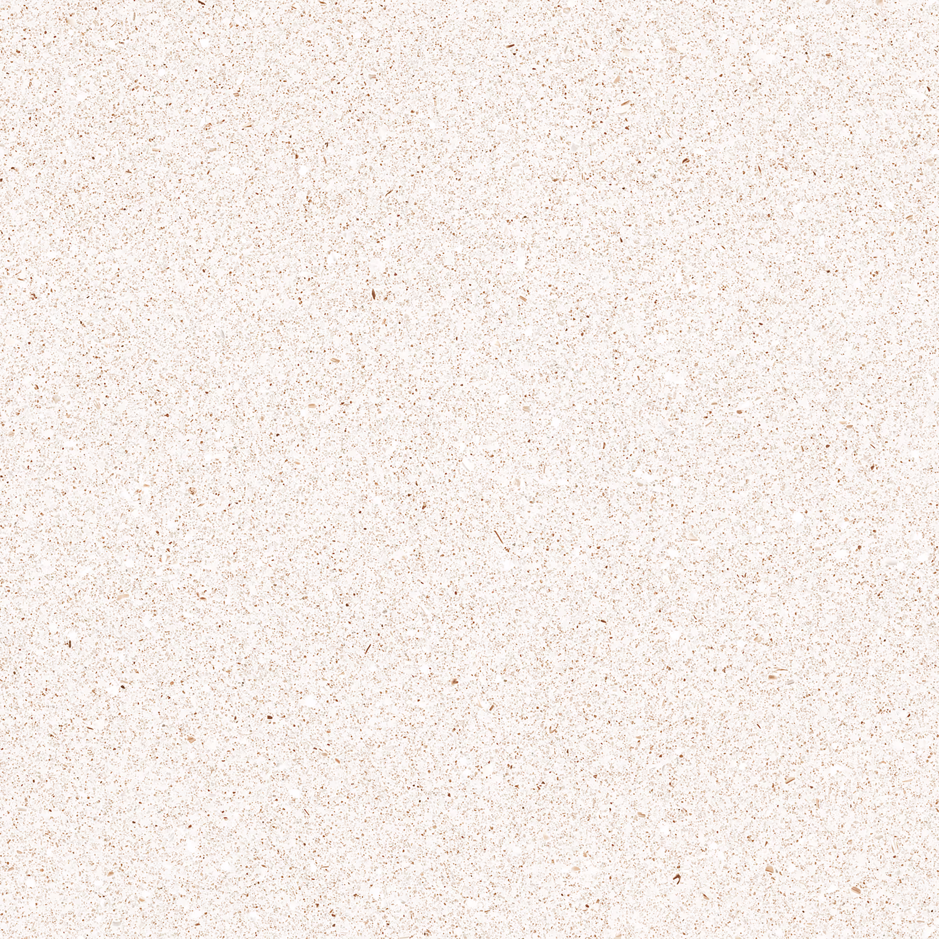 Polo Beige
