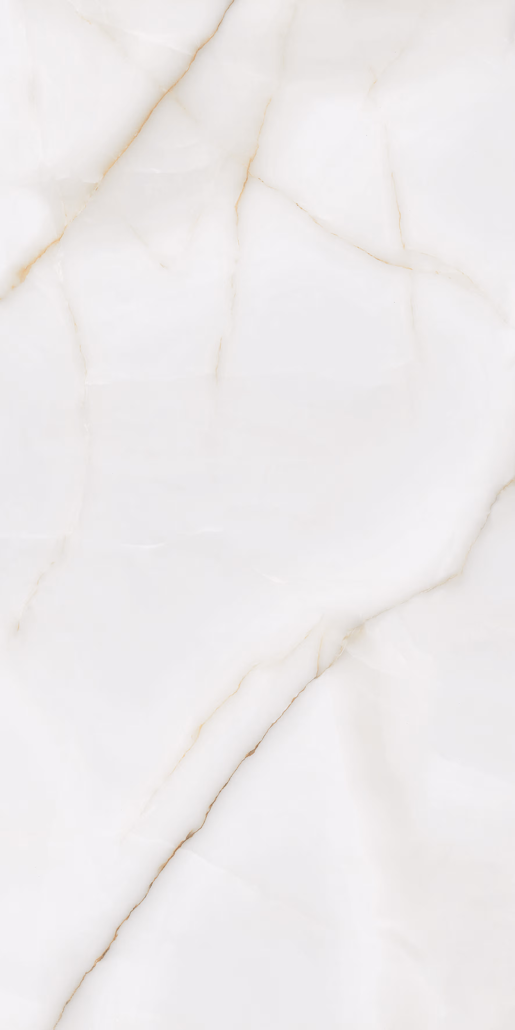 Palisandro White