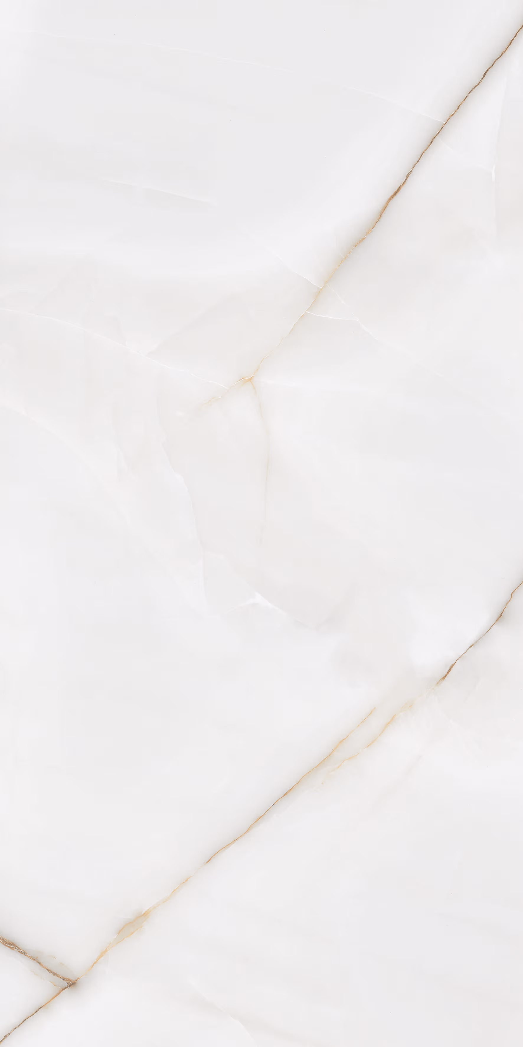 Palisandro White