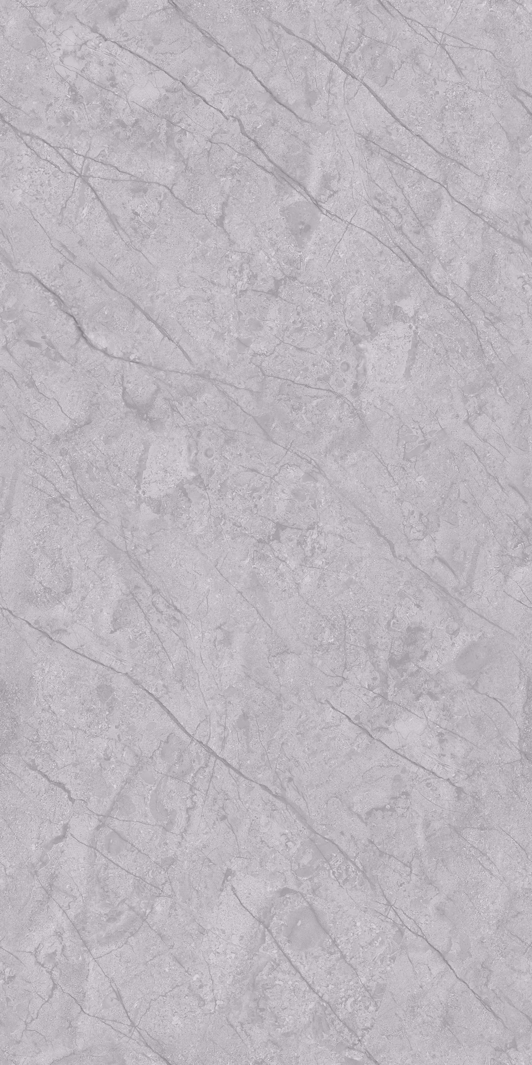 Balboure Grey