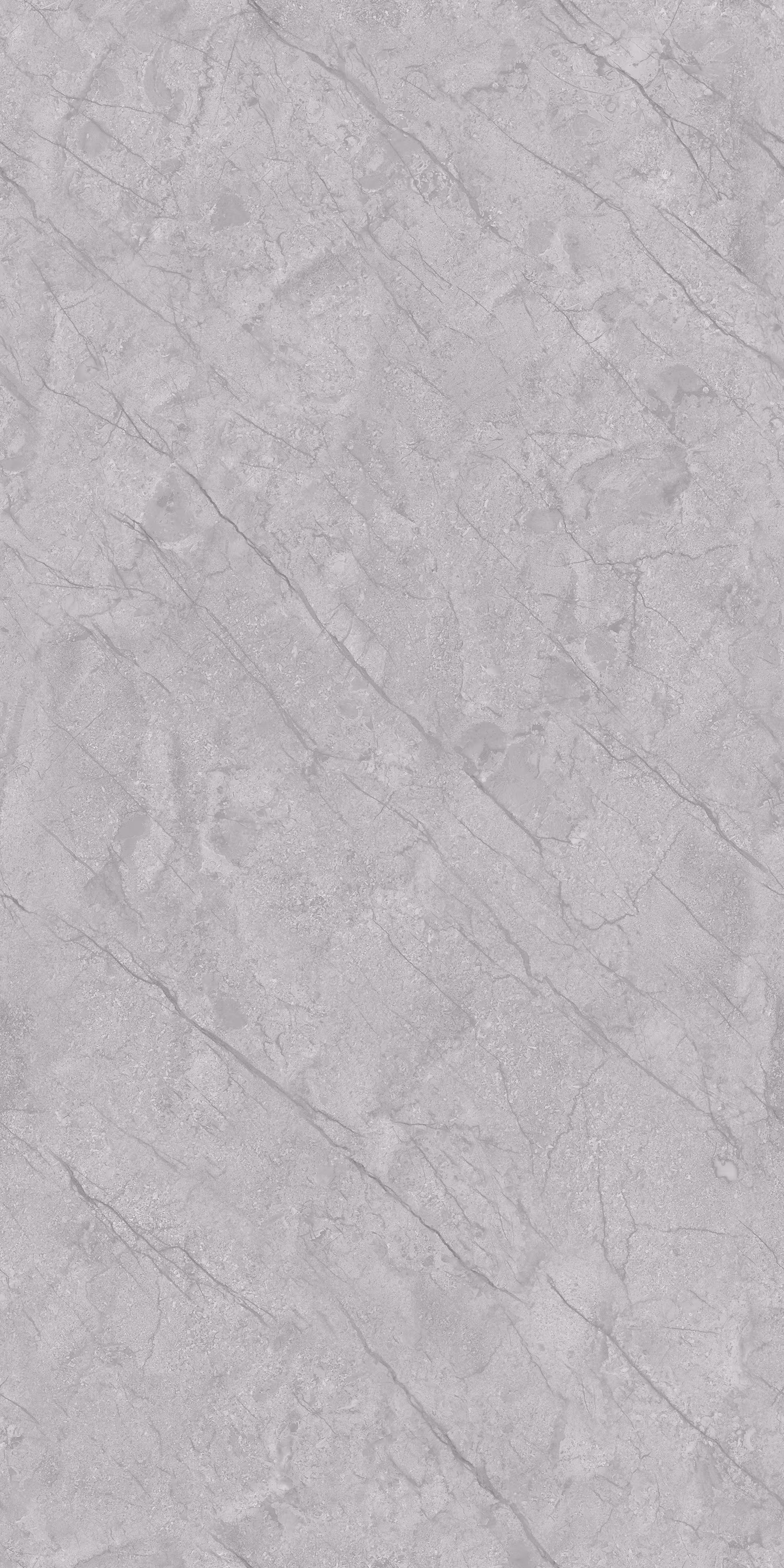 Balboure Grey