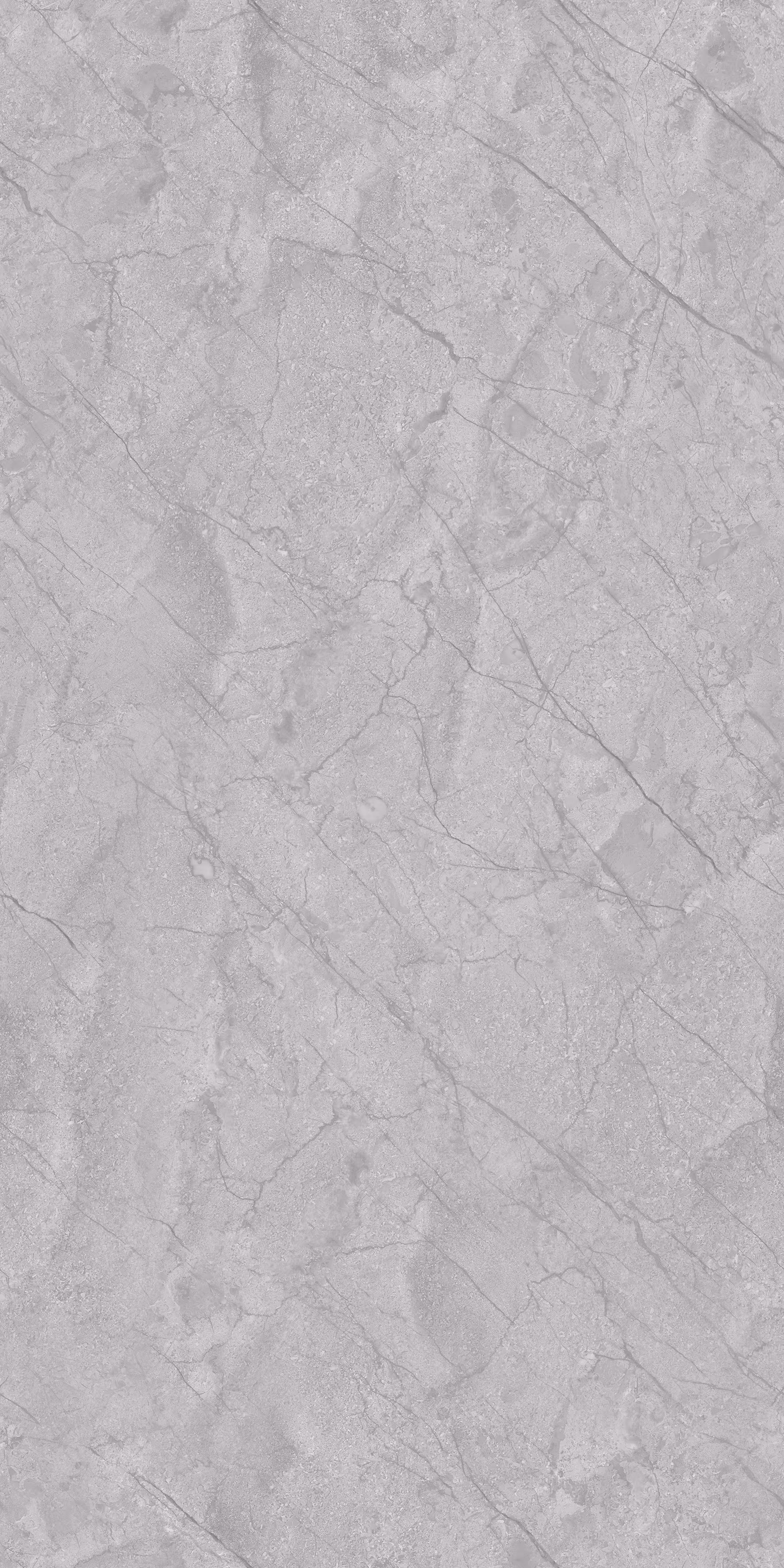 Balboure Grey