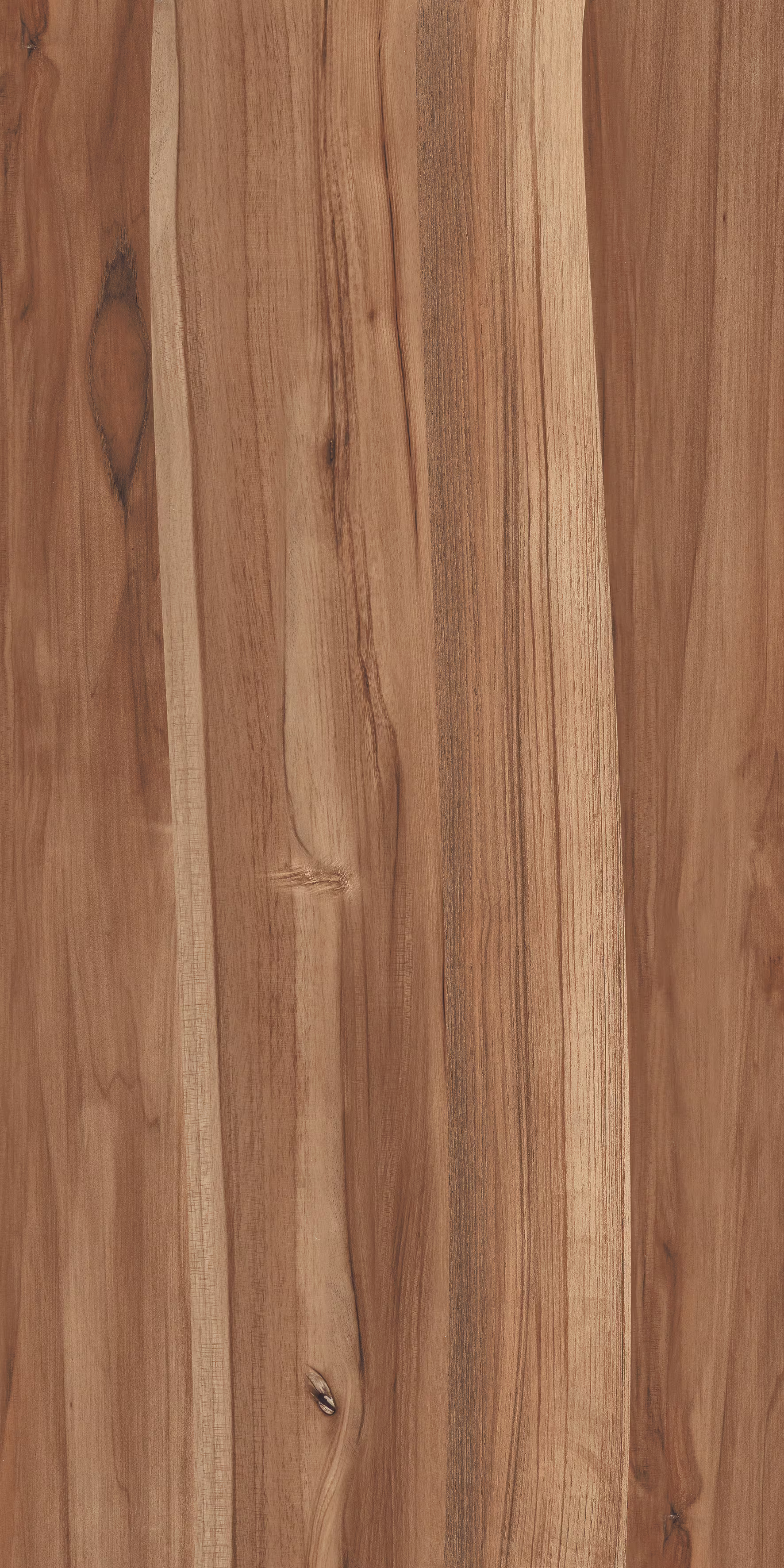 Beech Wood Brown
