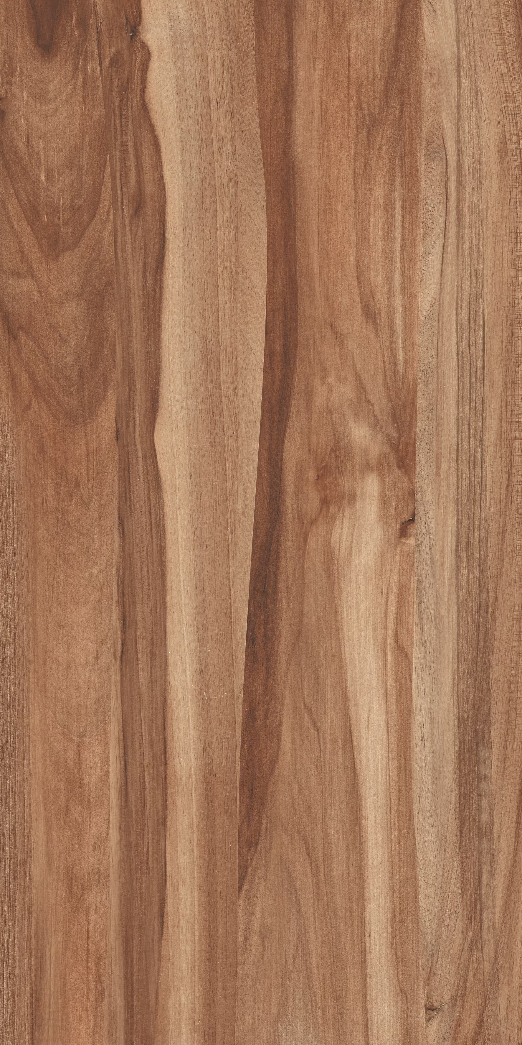 Beech Wood Brown