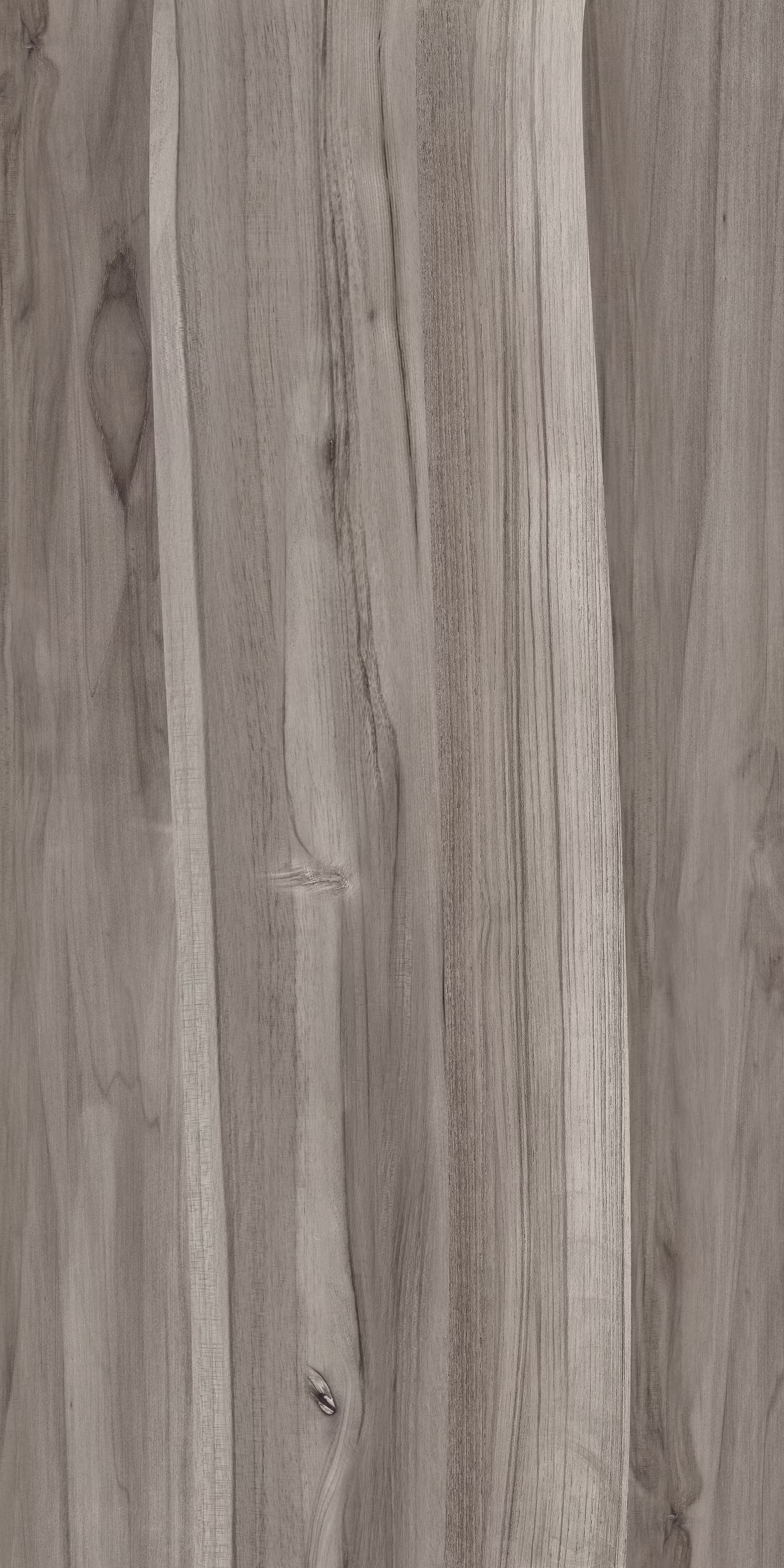 Beech Wood Pine