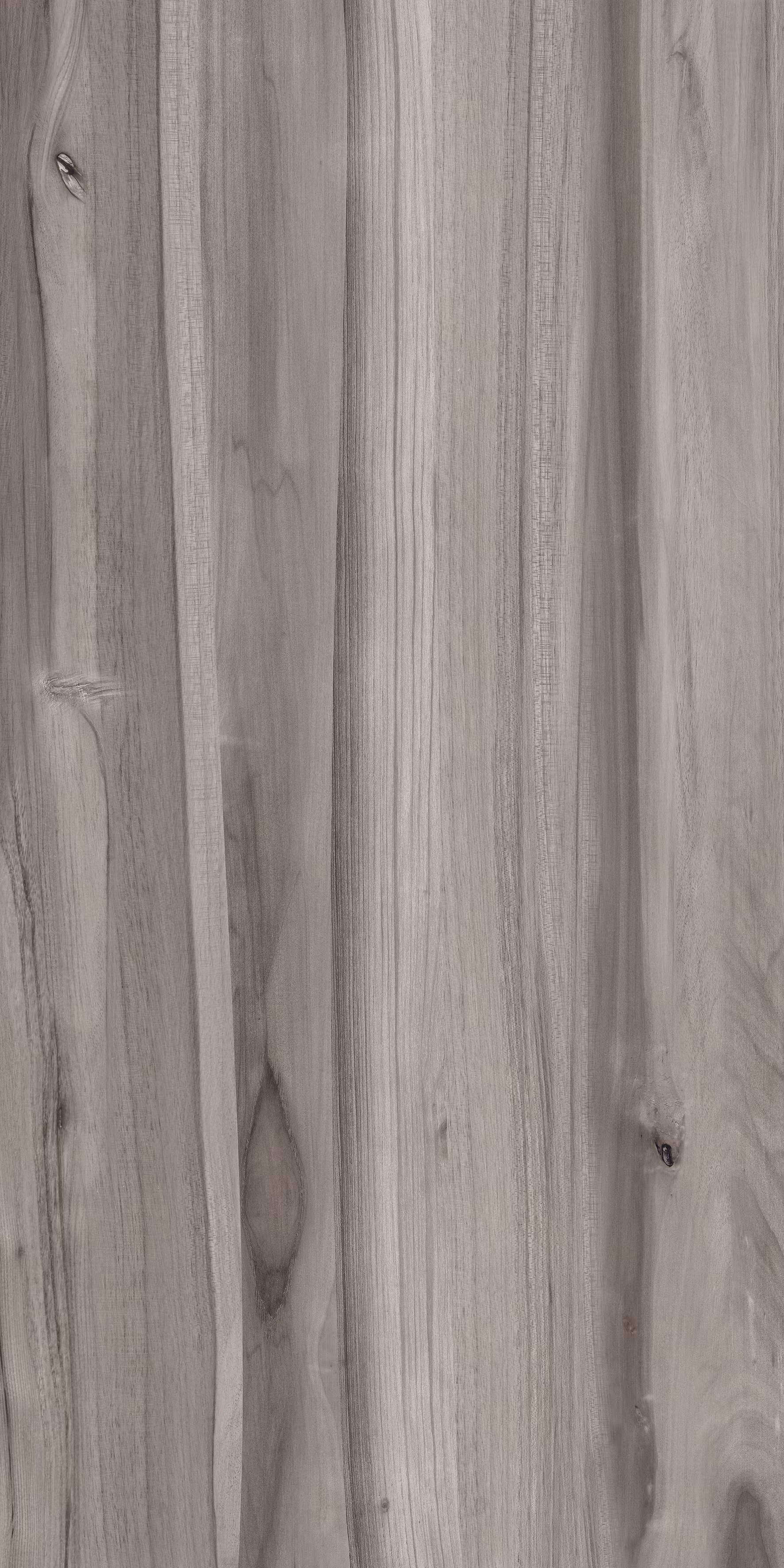 Beech Wood Pine