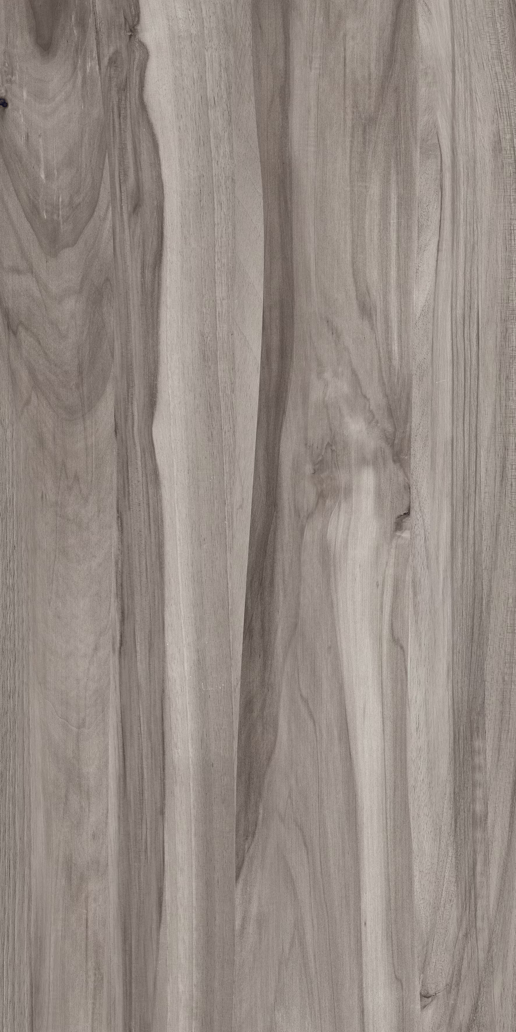 Beech Wood Pine