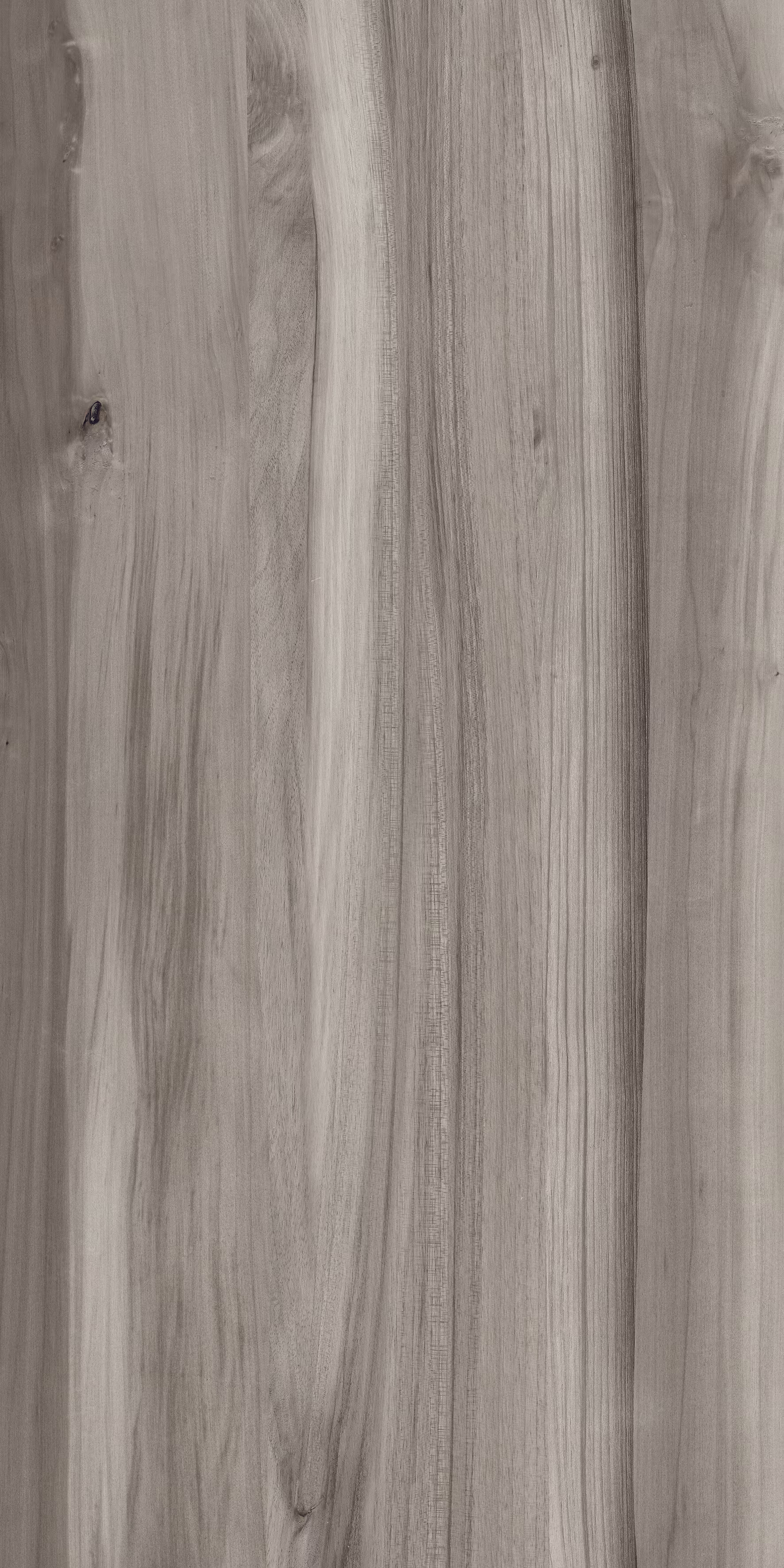 Beech Wood Pine