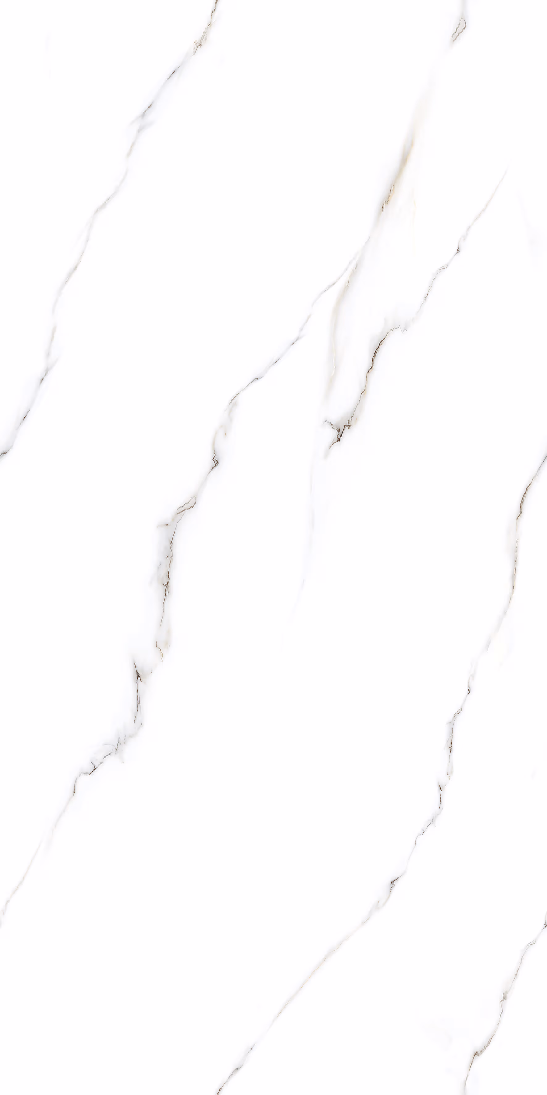 Venice White