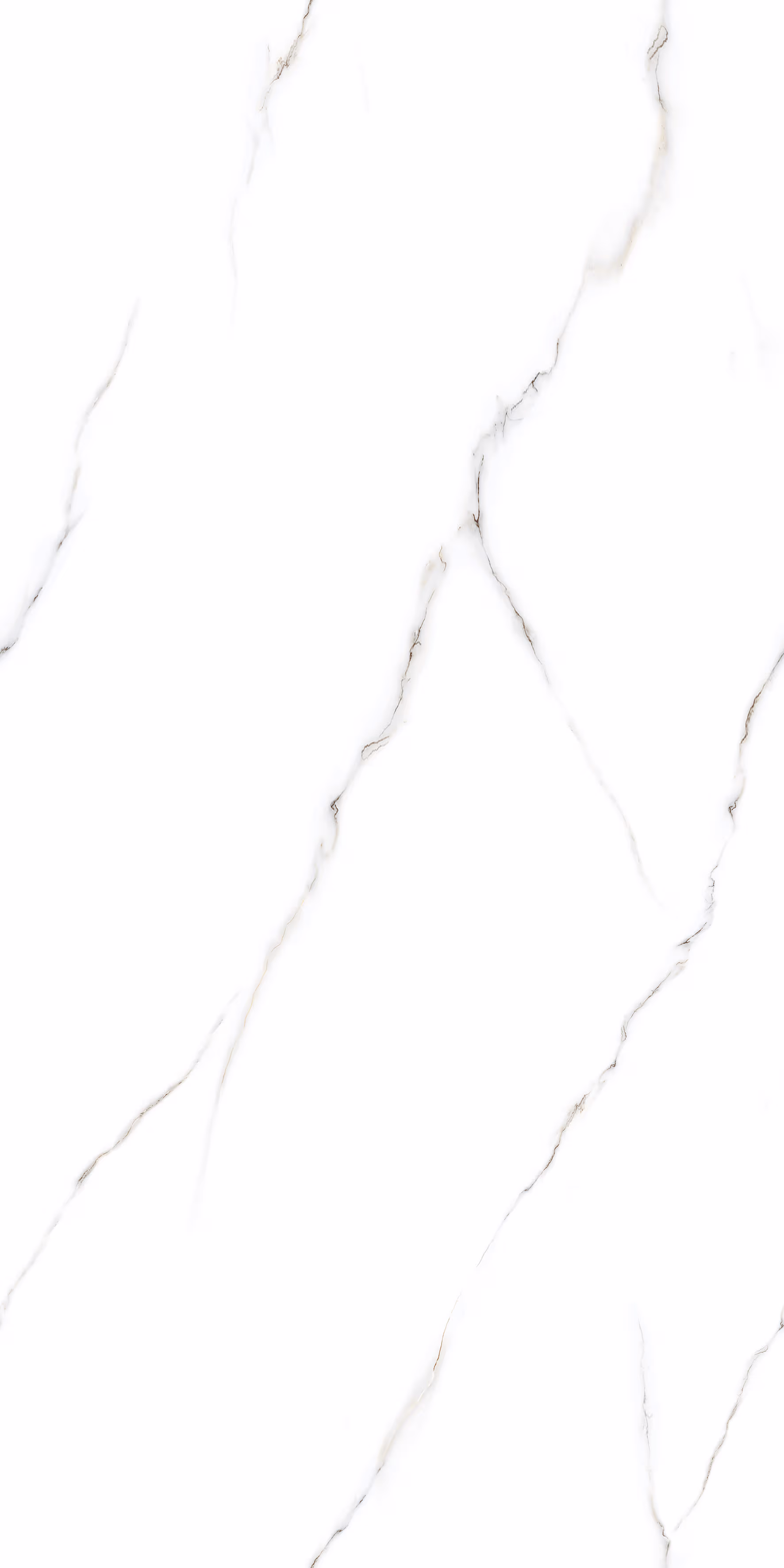 Venice White