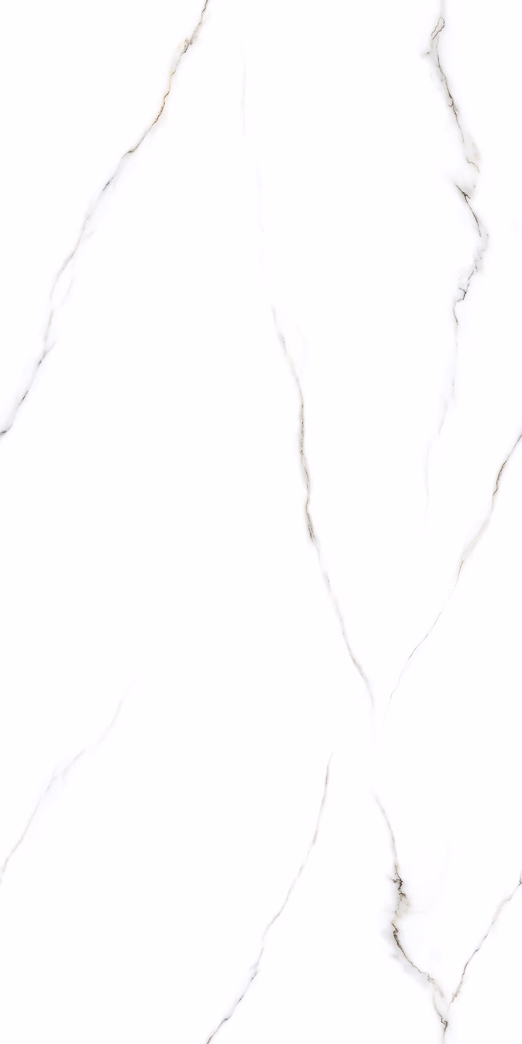 Venice White