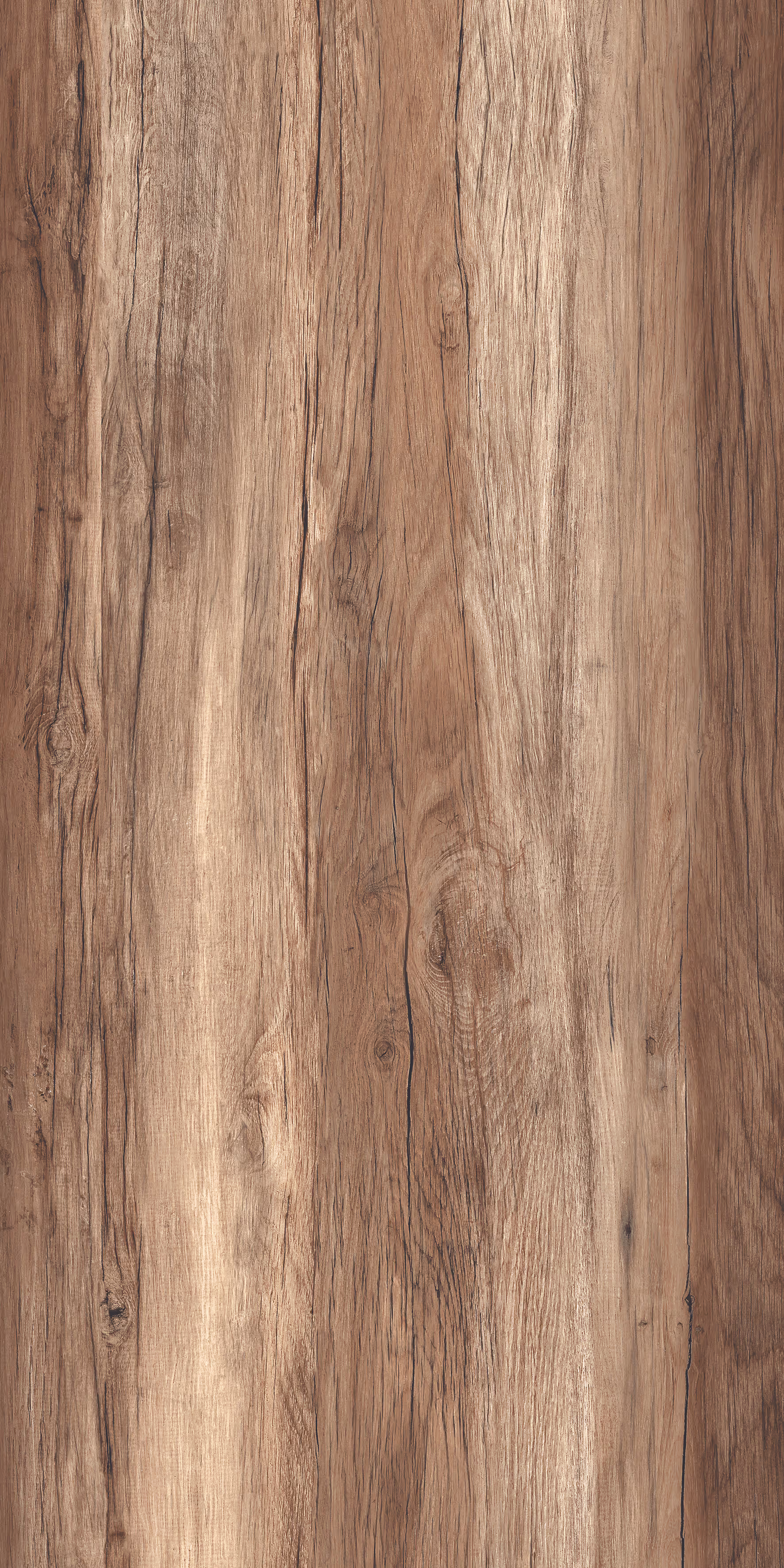 Cosmos Honey Pine