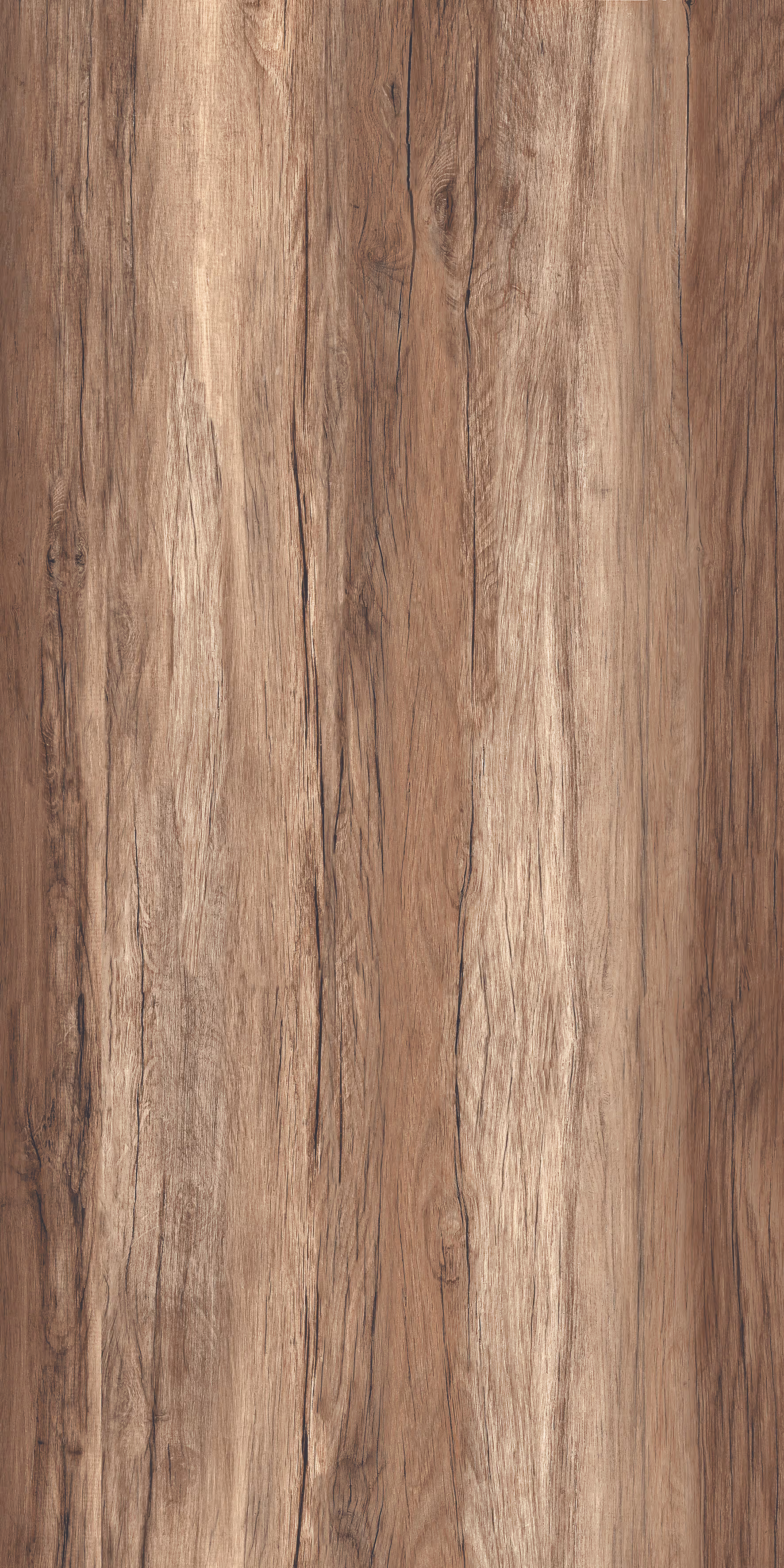 Cosmos Honey Pine