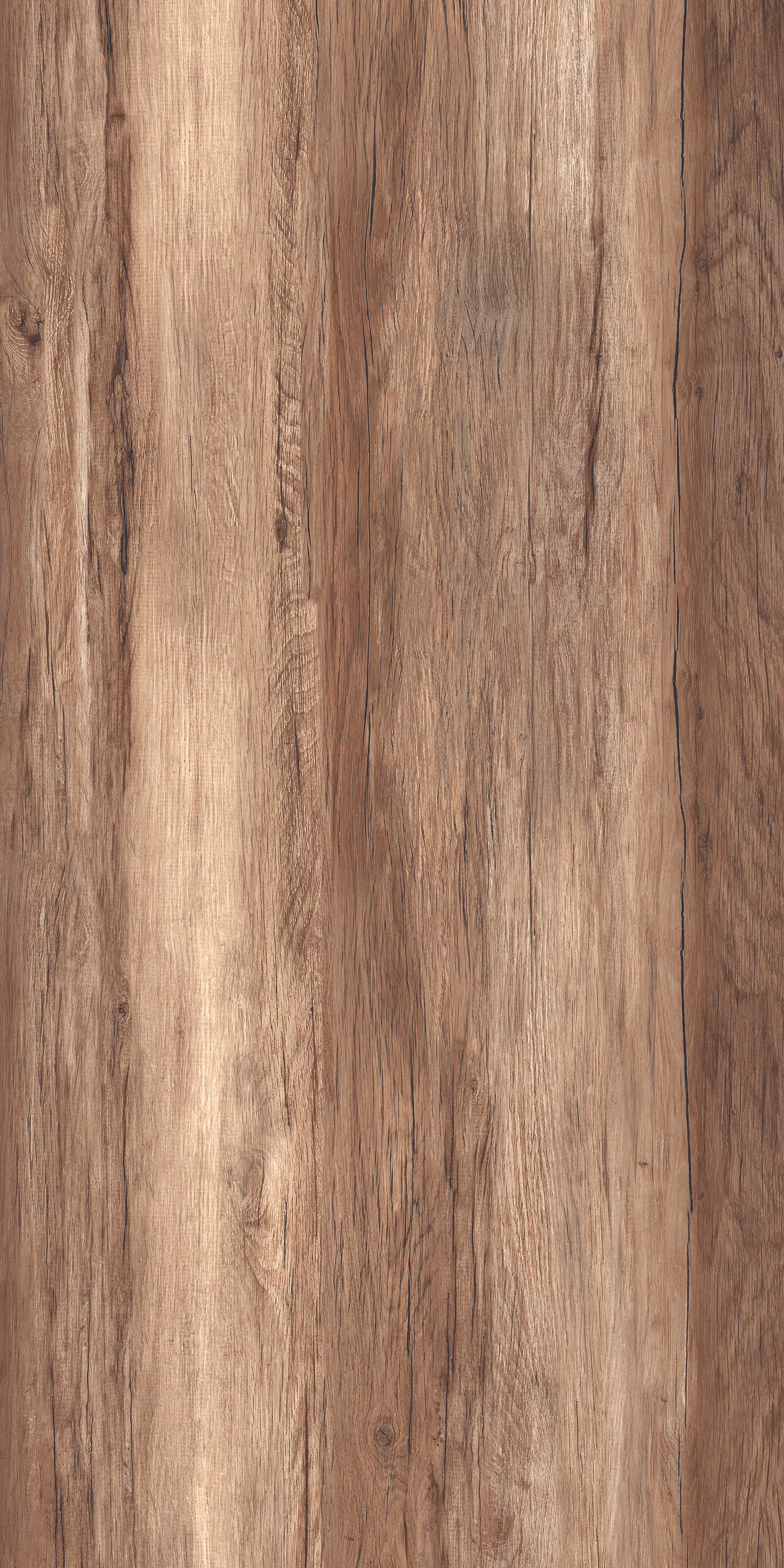 Cosmos Honey Pine