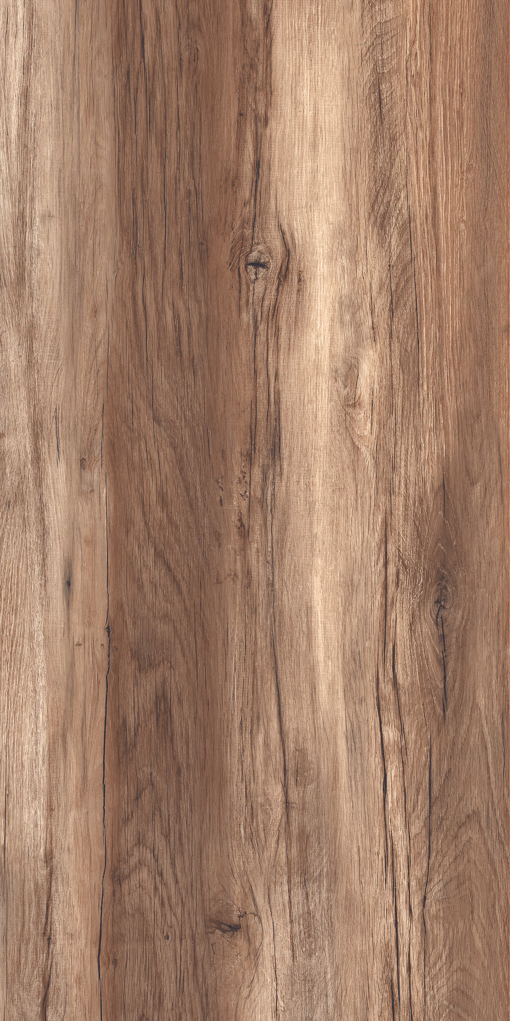 Cosmos Honey Pine