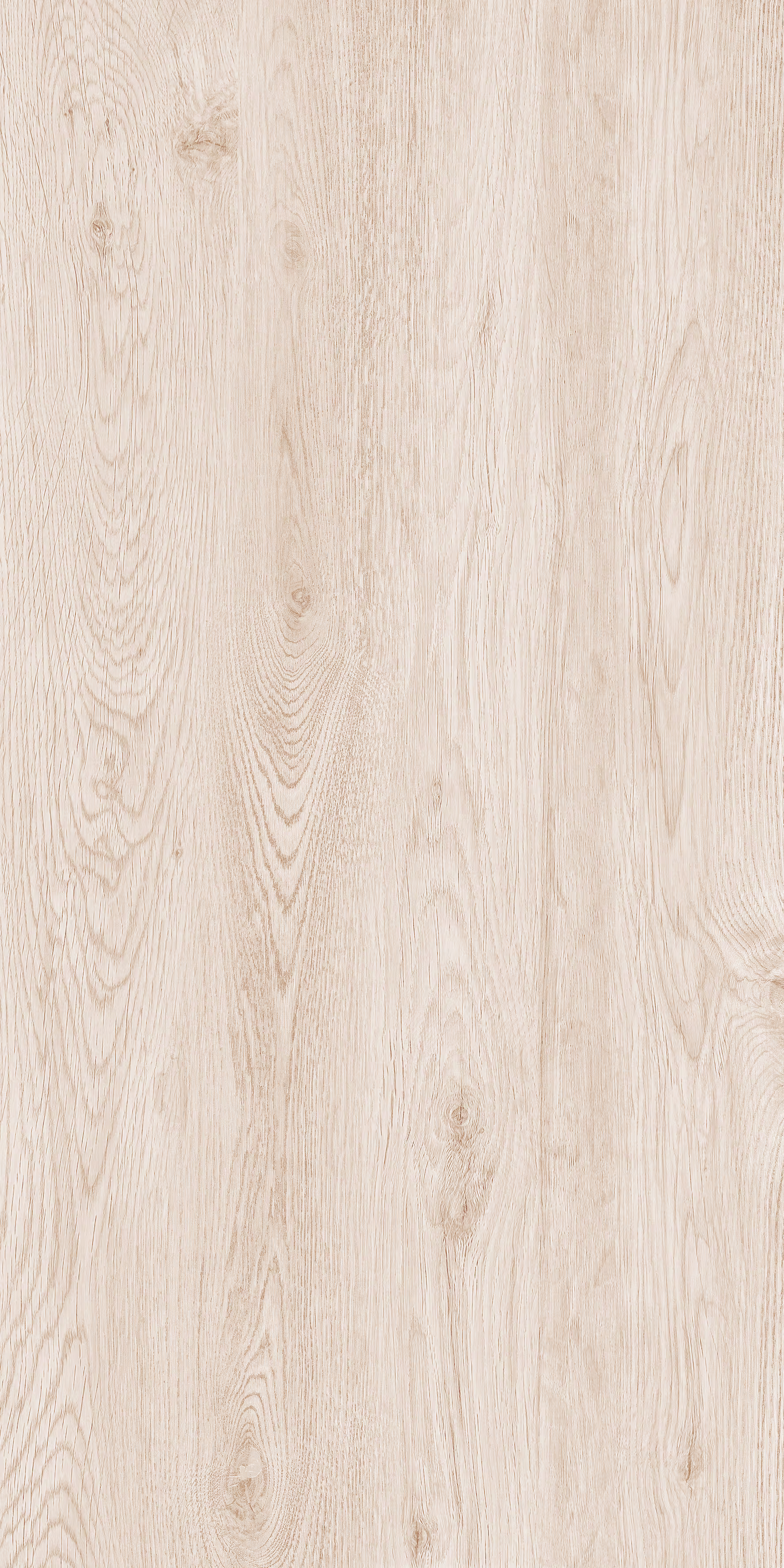 Forest Beige Wood