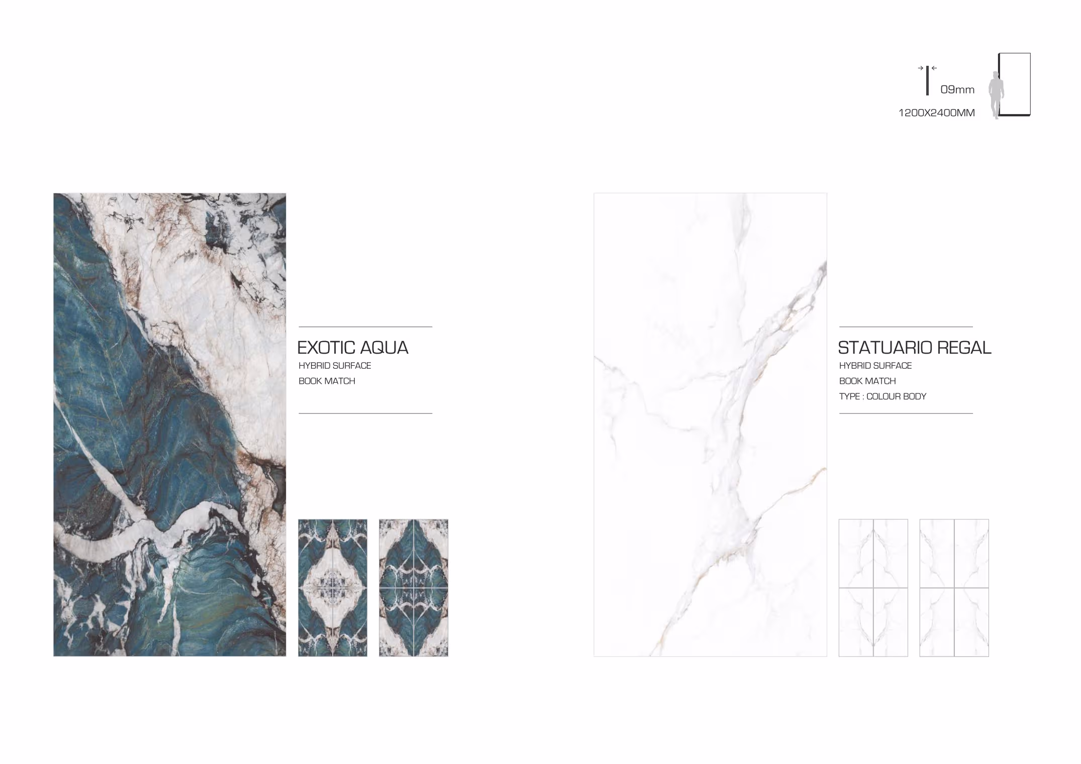 Hybrid Surface-Regal Fusion