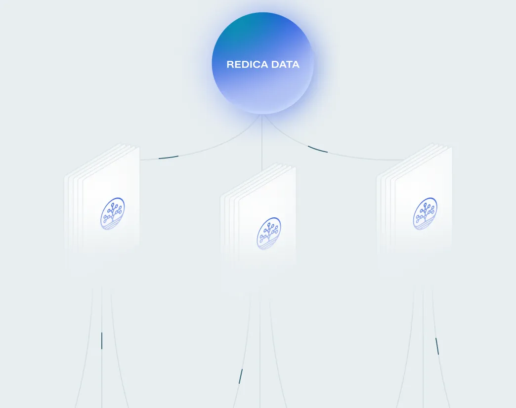 Diagram showing a central blue circle labeled 'REDICA DATA' connected to three white stacks of documents or books with a blue circuit tree logo.