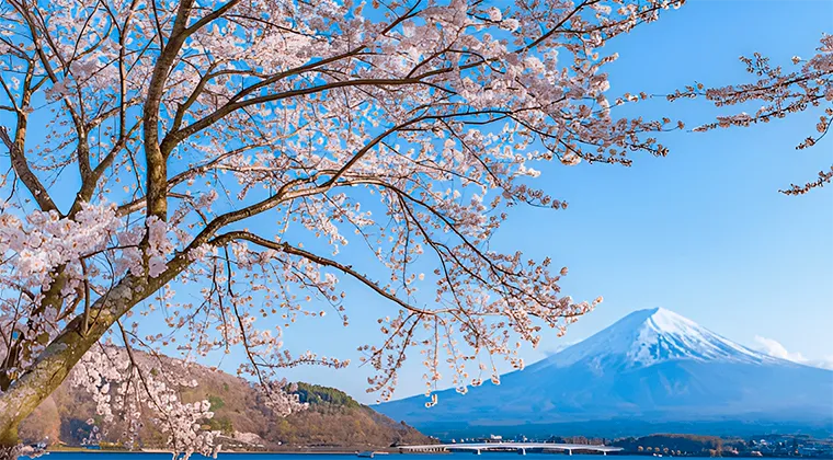 Japan’s PMDA Formalizing Post-Approval Change System Based on Recent Pilot